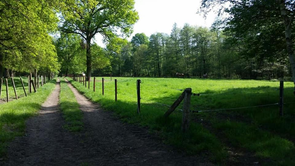 Het Innerhof, photo 11