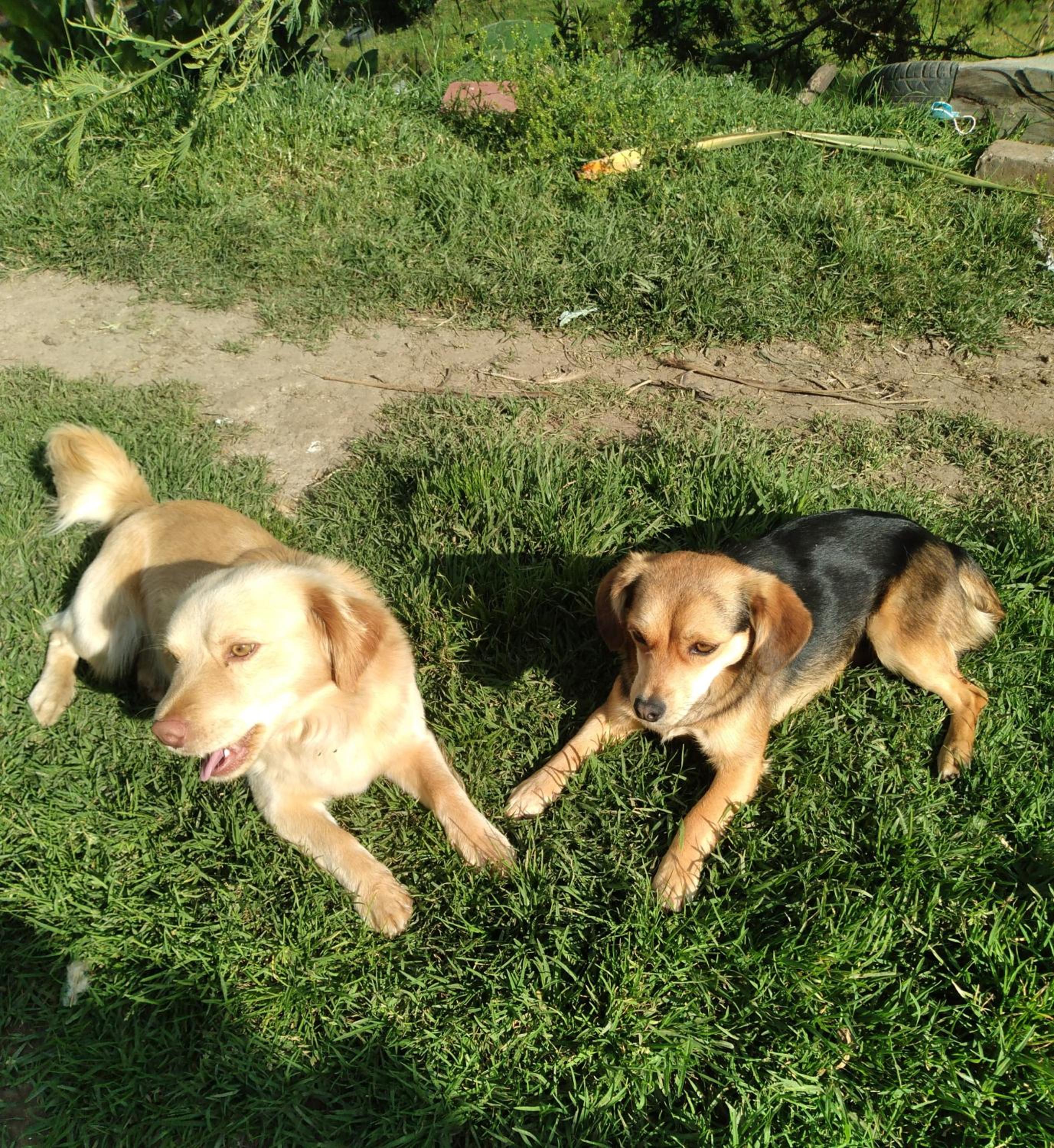 Photo 41