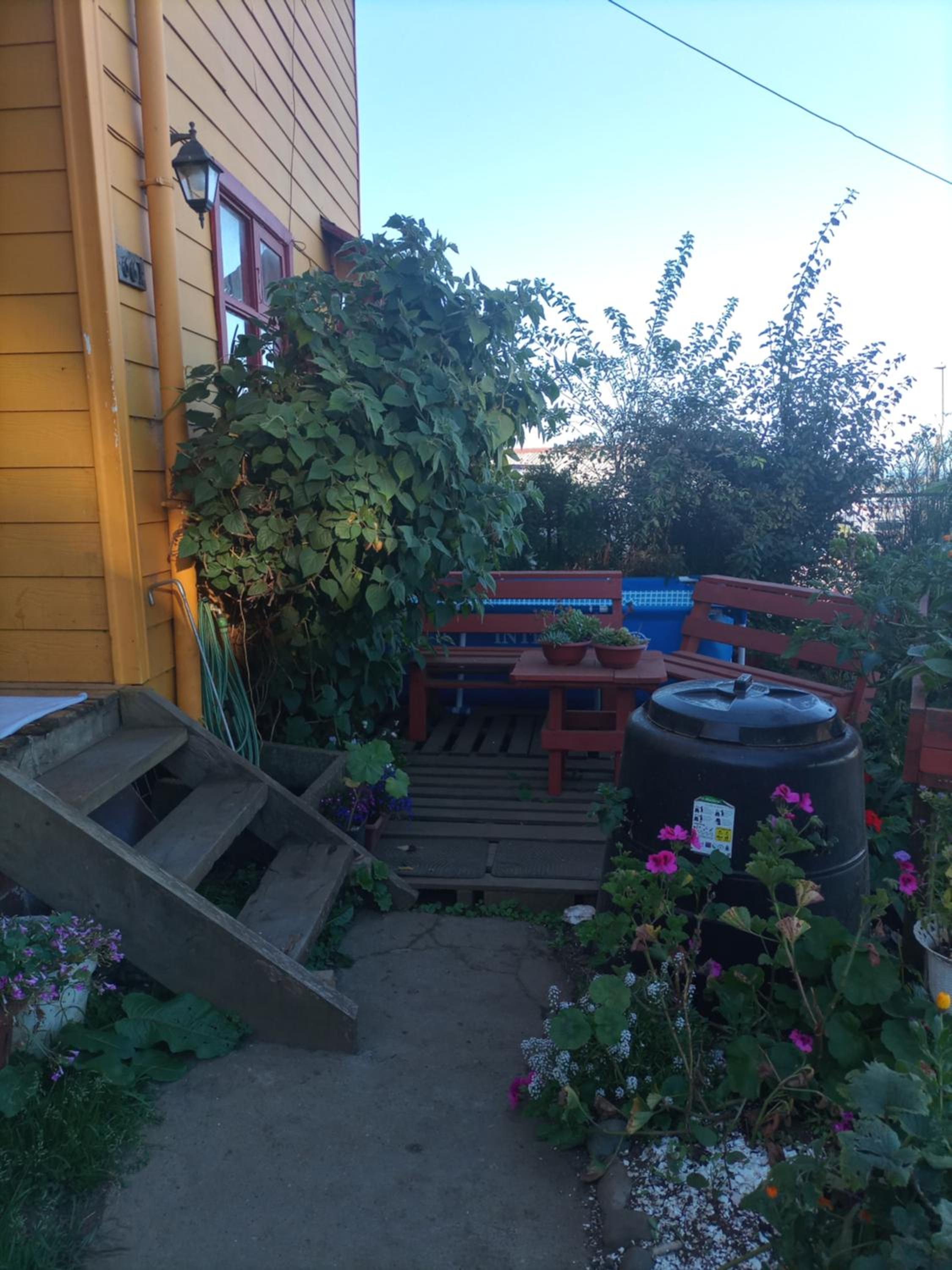 Photo 18