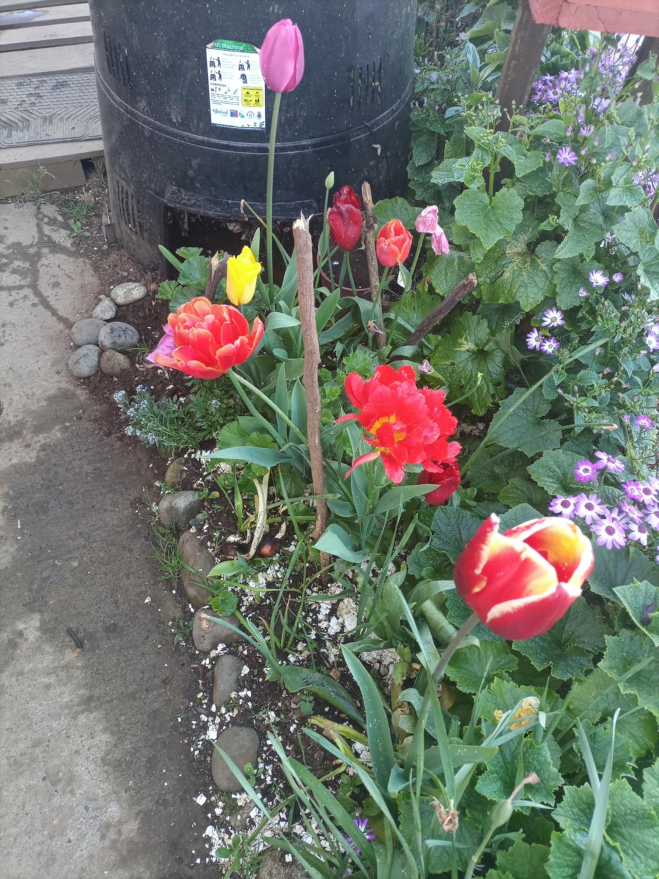 Photo 23