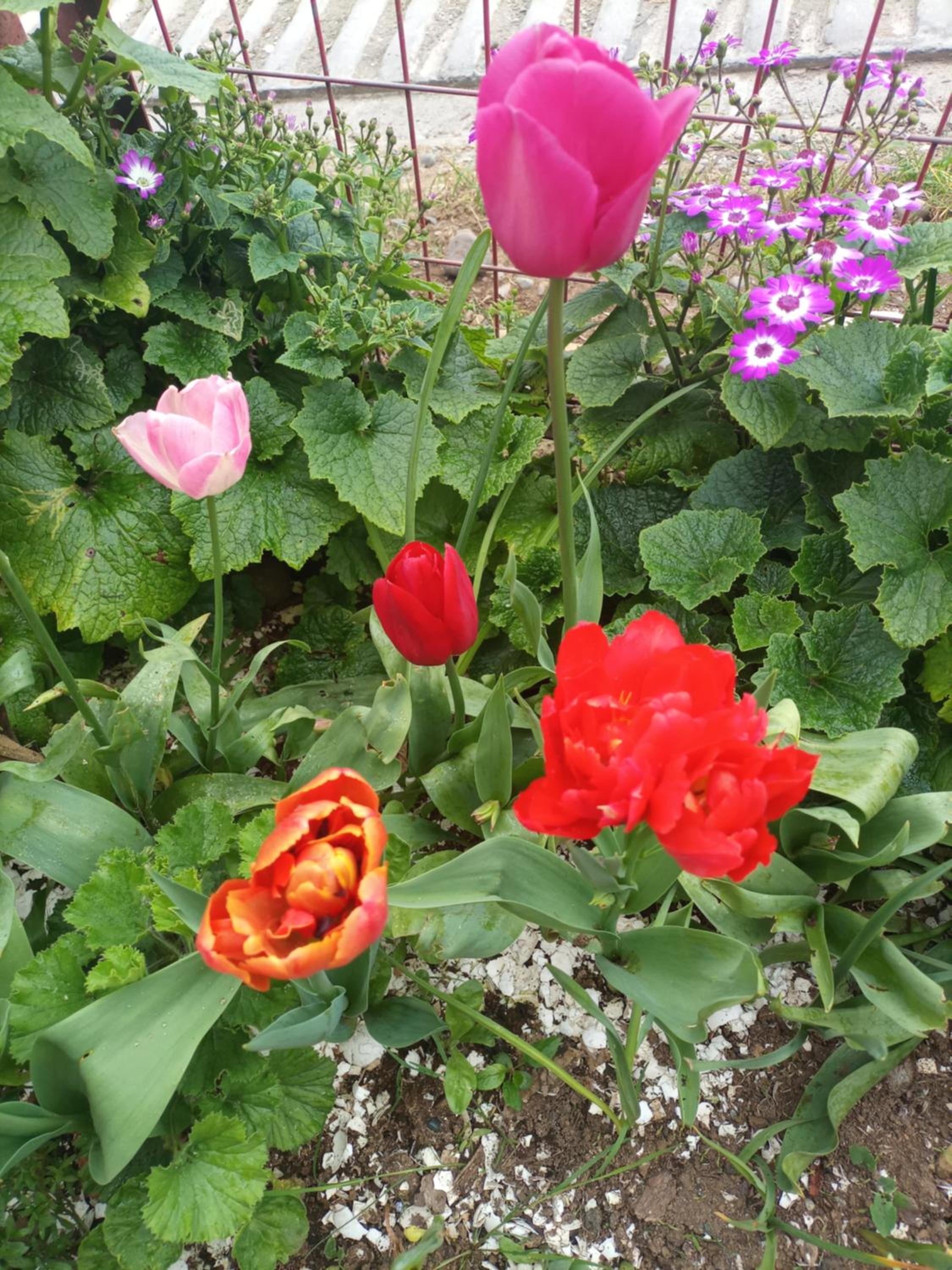 Photo 22