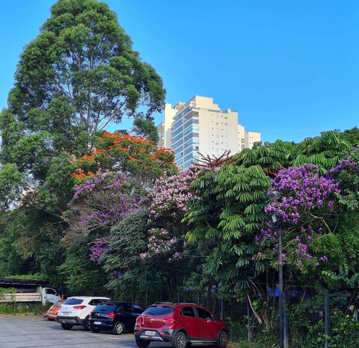 Alphaville Stay Residences