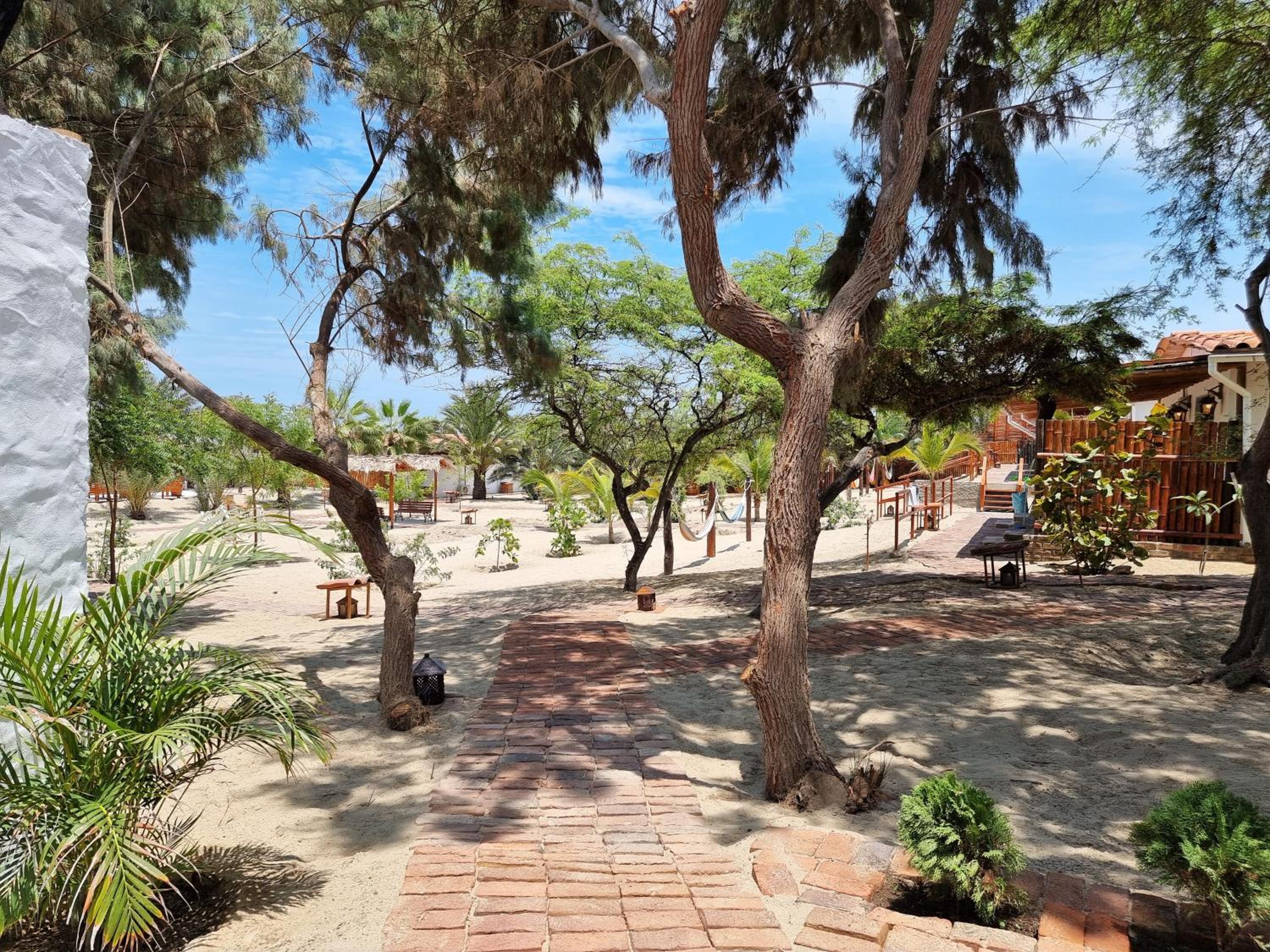 Hotel Punta del Norte Bungalows