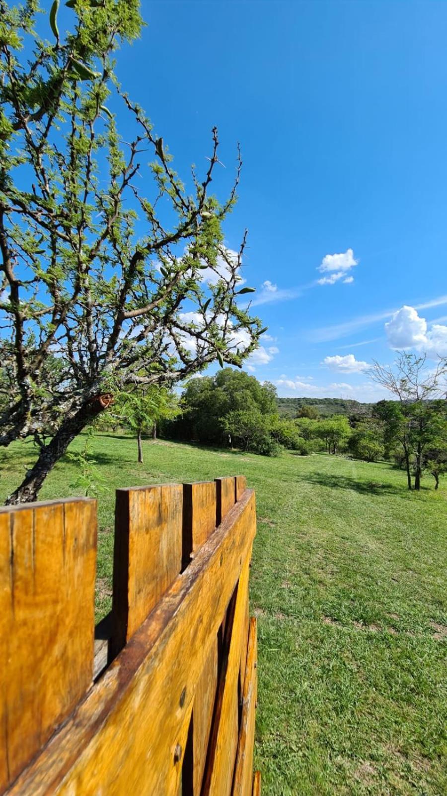 Terrazas de Mallin
