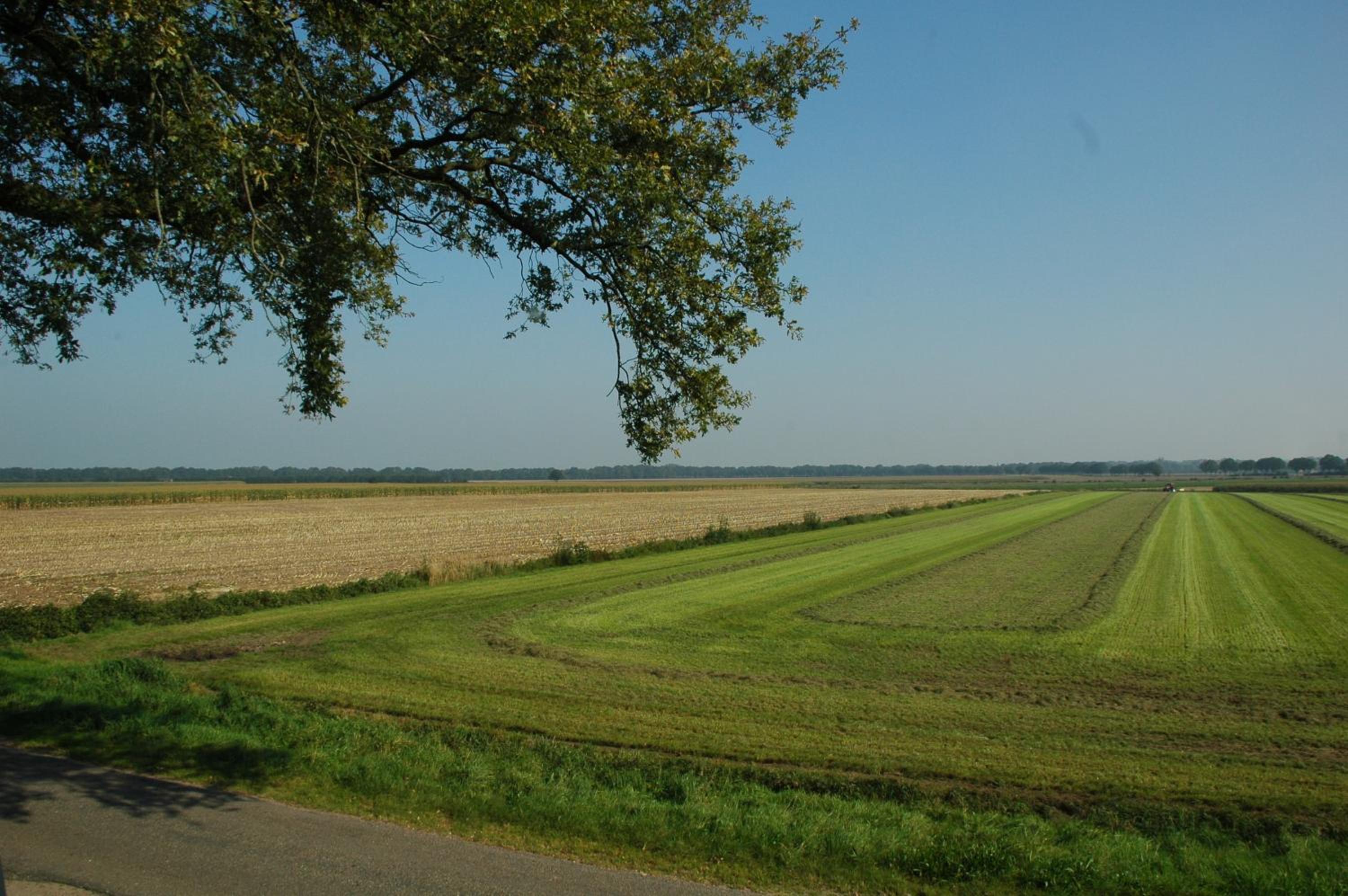 Huize Ouwervelden