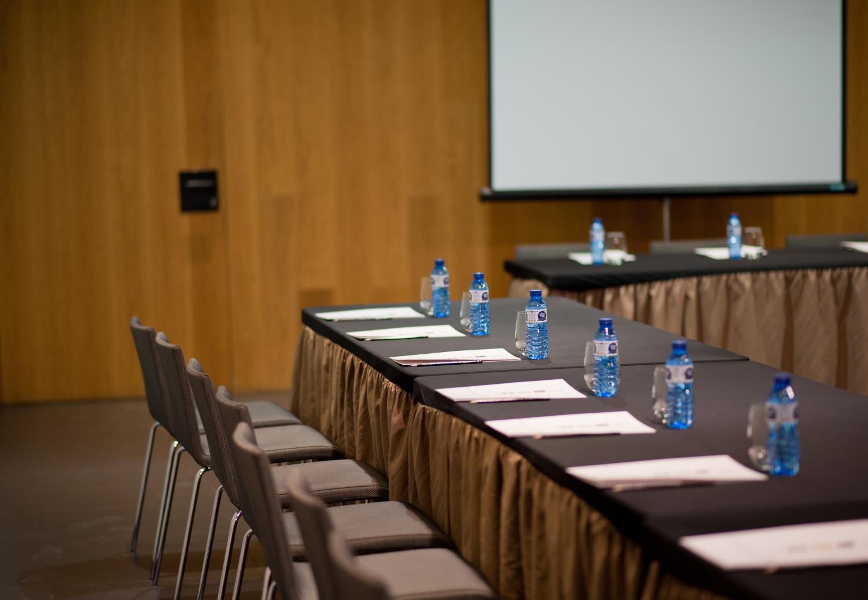Blu Hotel Almansa