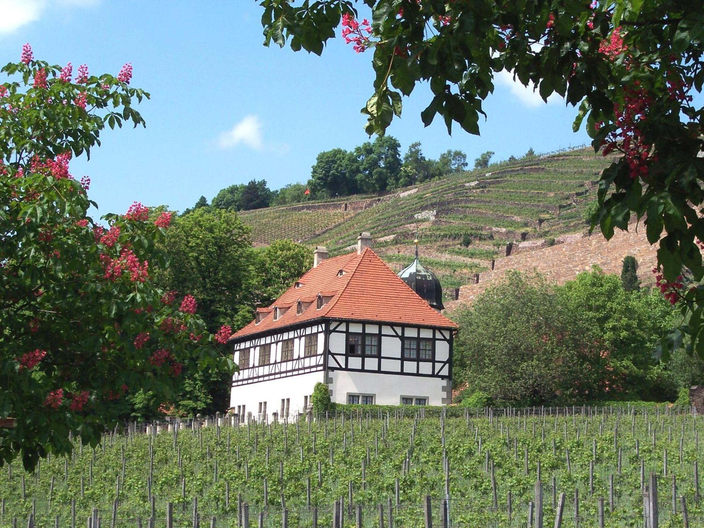 Dresden Vacations - Radisson Blu Park Hotel  Conference Centre - Property Image 103