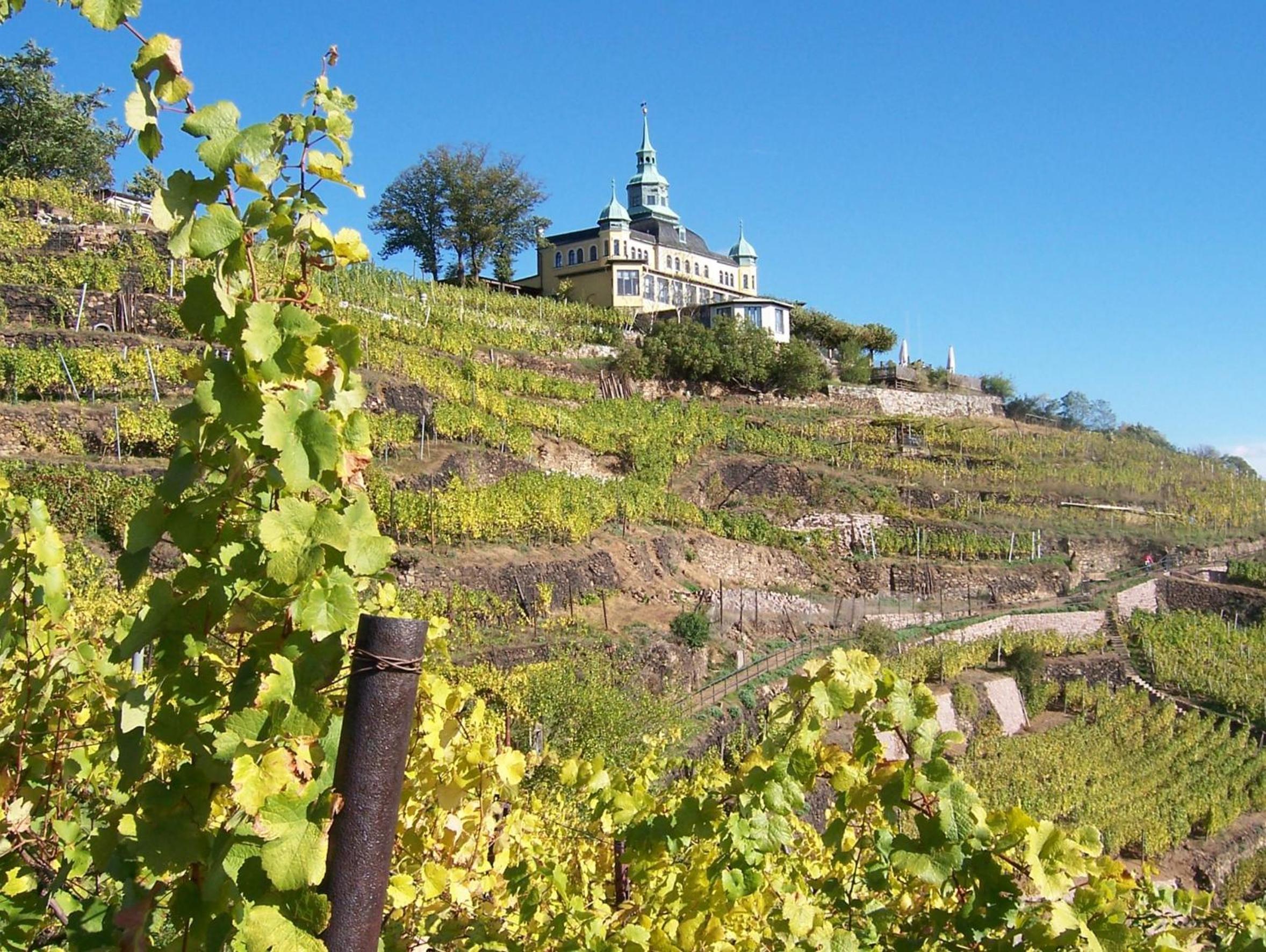 Dresden Vacations - Radisson Blu Park Hotel  Conference Centre - Property Image 105