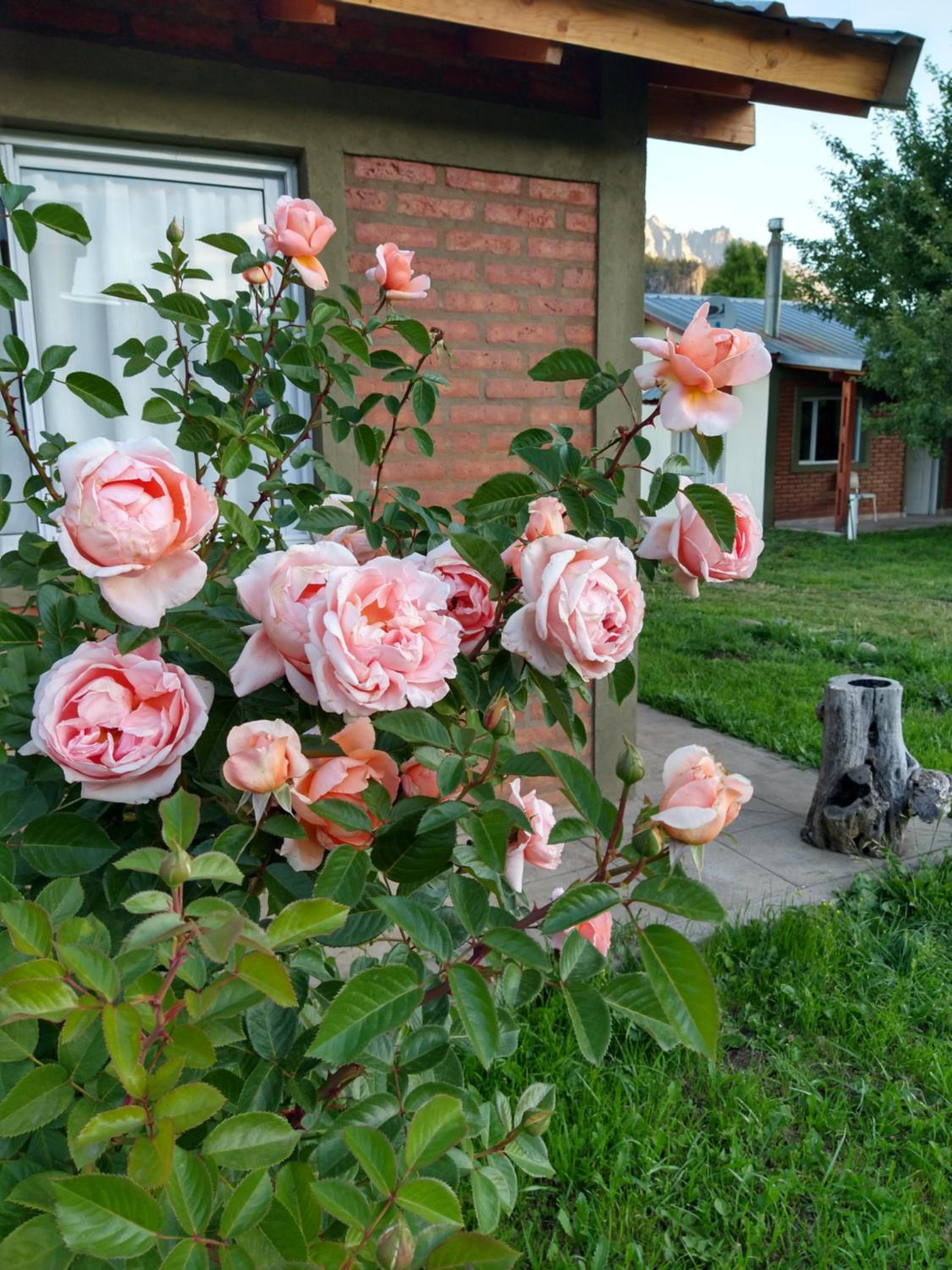 La posada de Icha