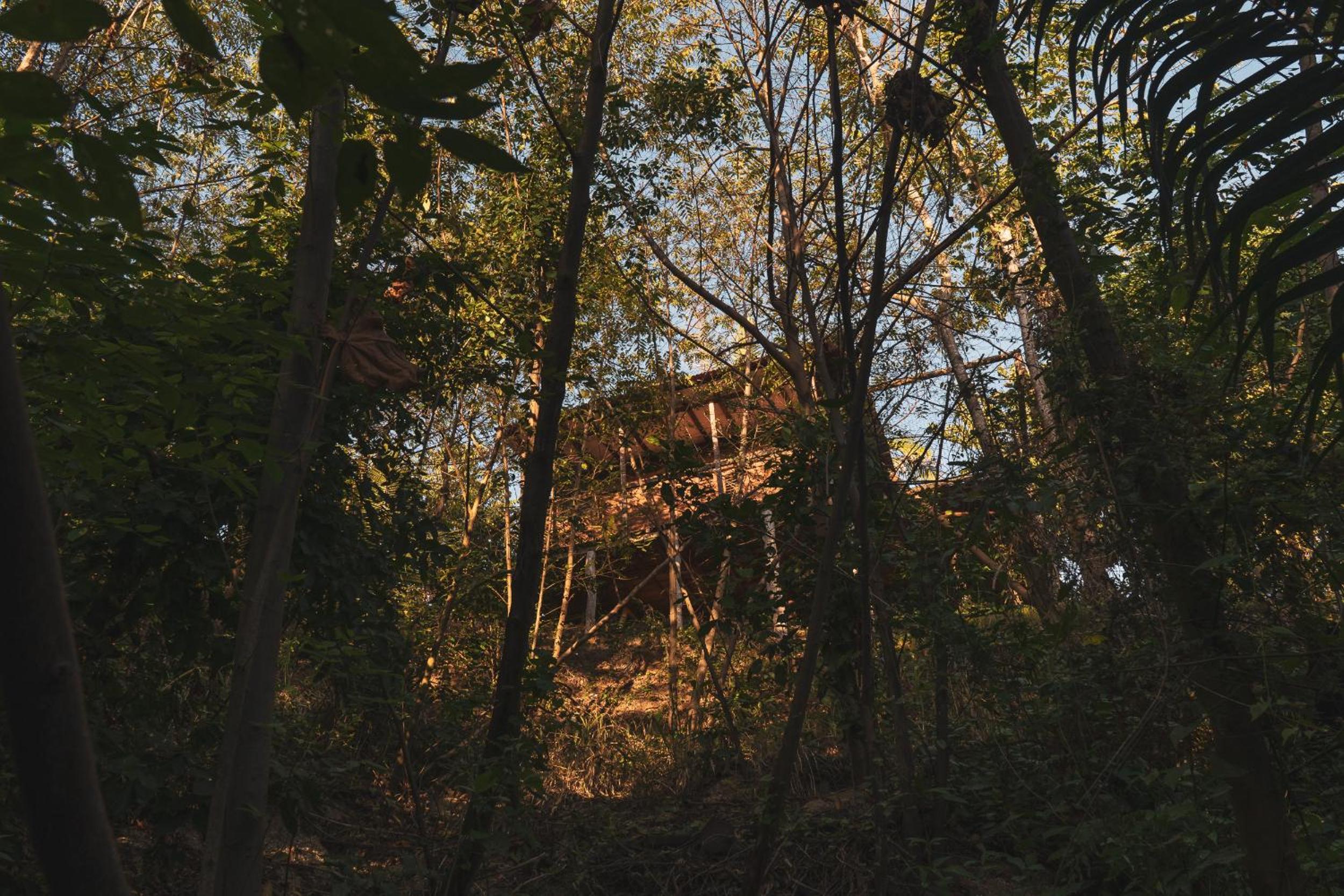 La Casita del Bosque