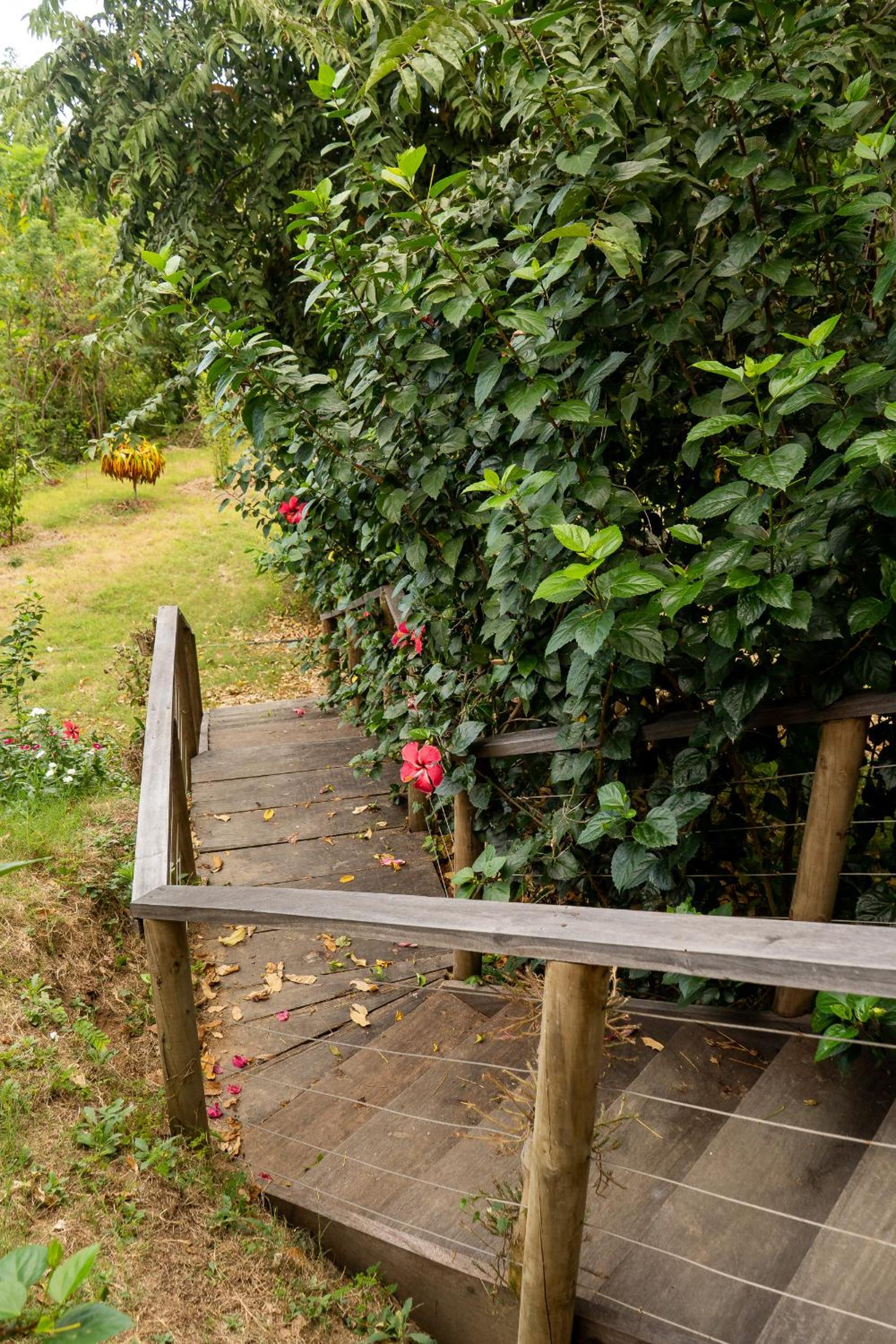 La Casita del Bosque