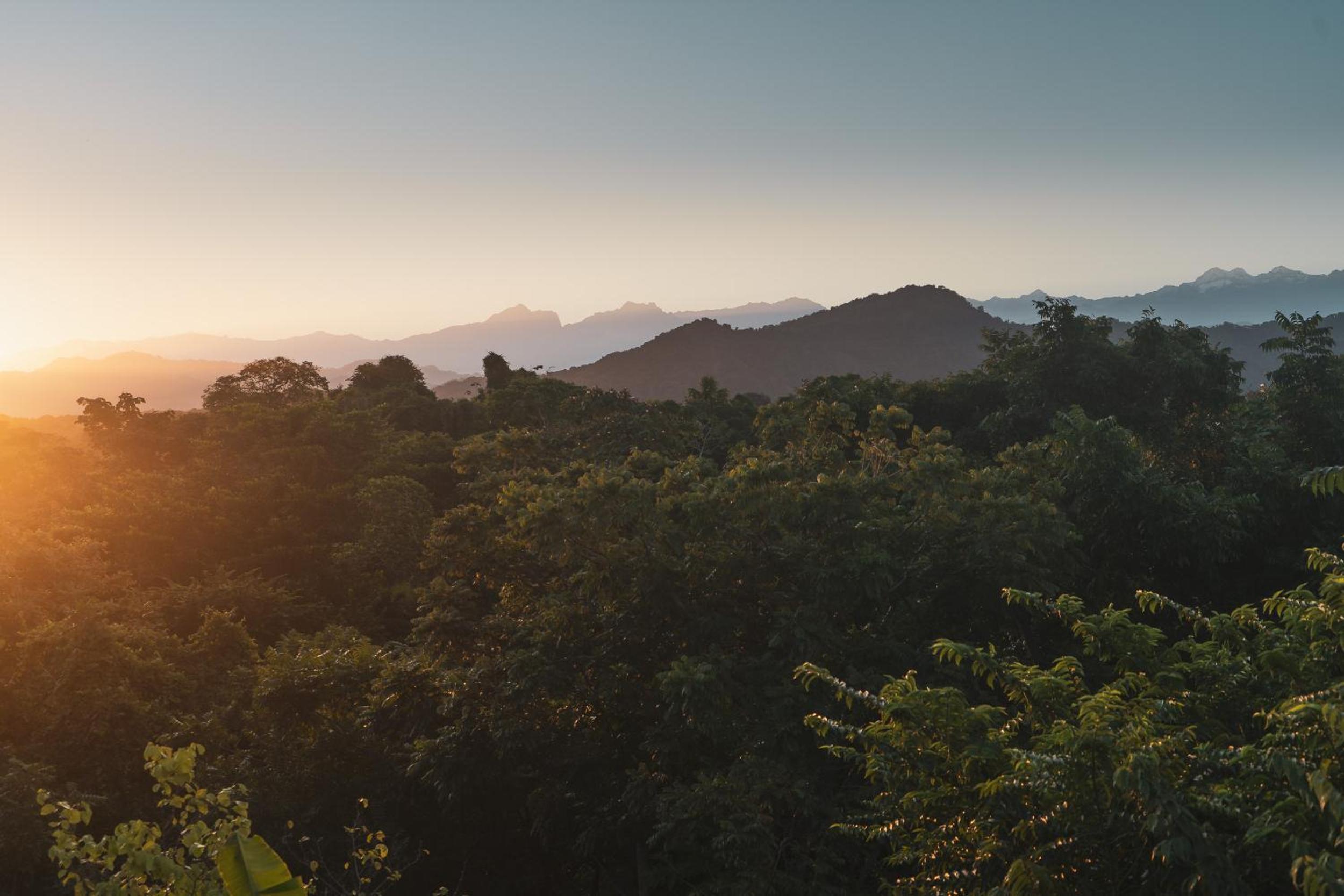 La Casita del Bosque