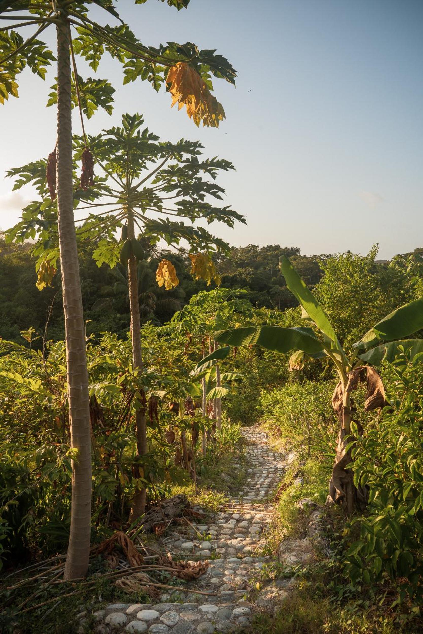 La Casita del Bosque