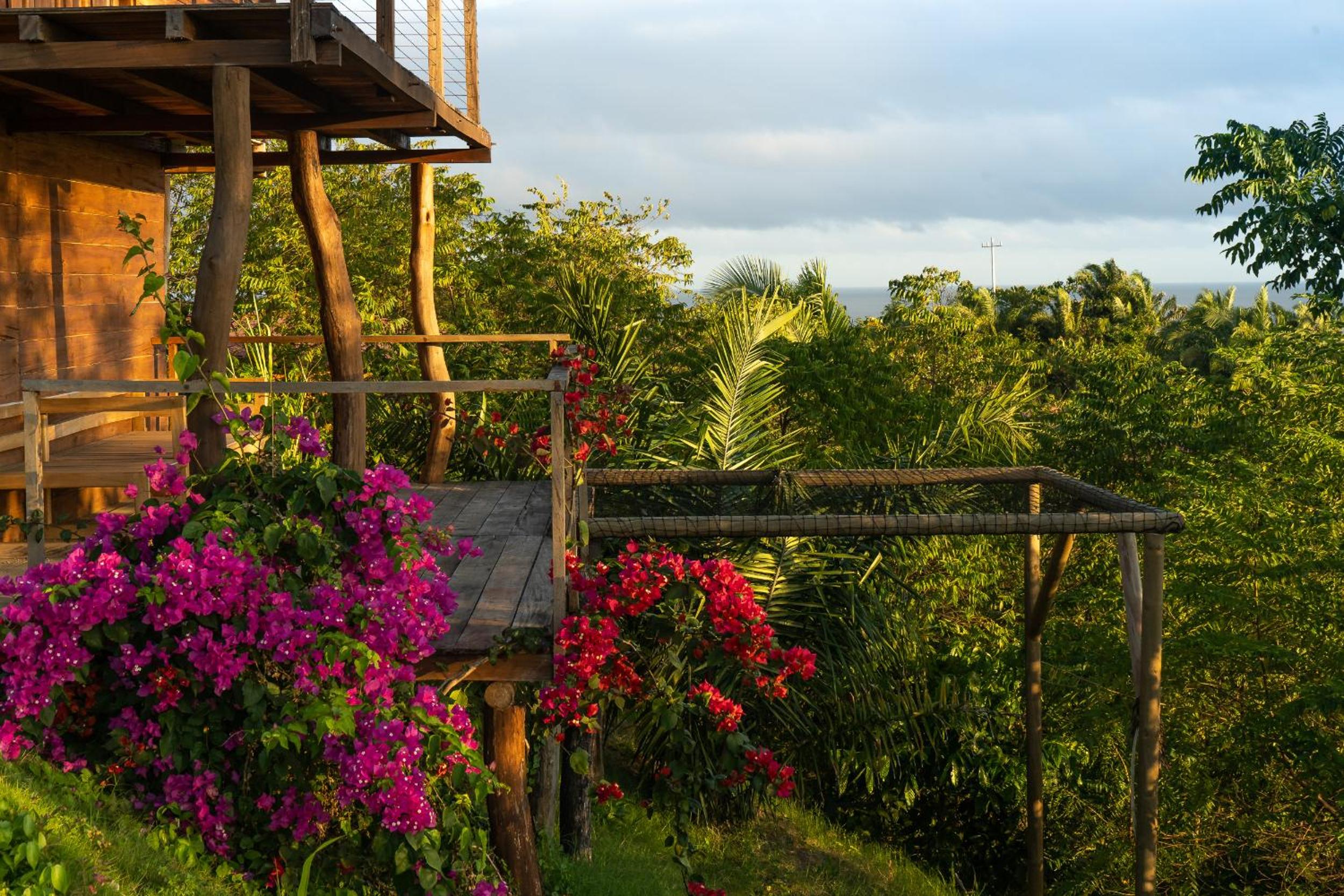 La Casita del Bosque