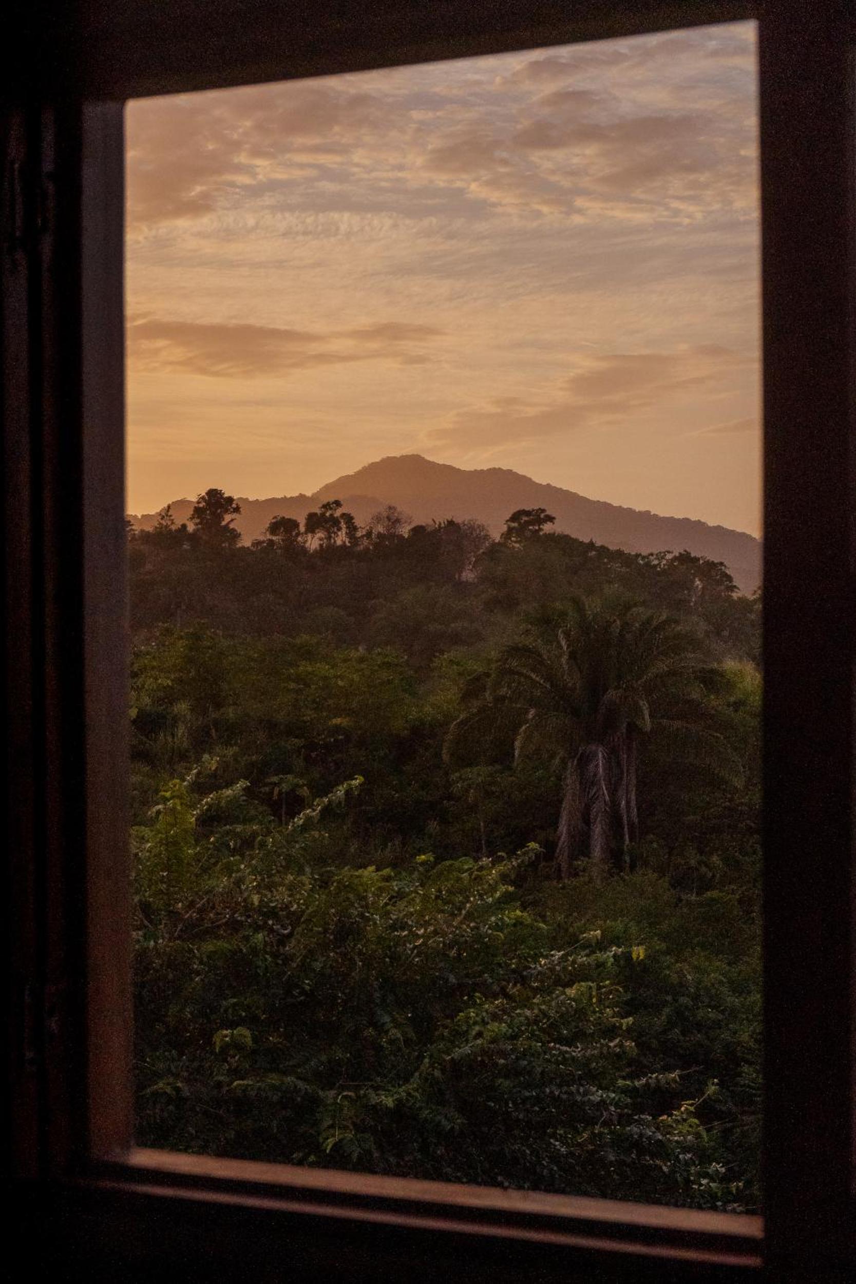 La Casita del Bosque