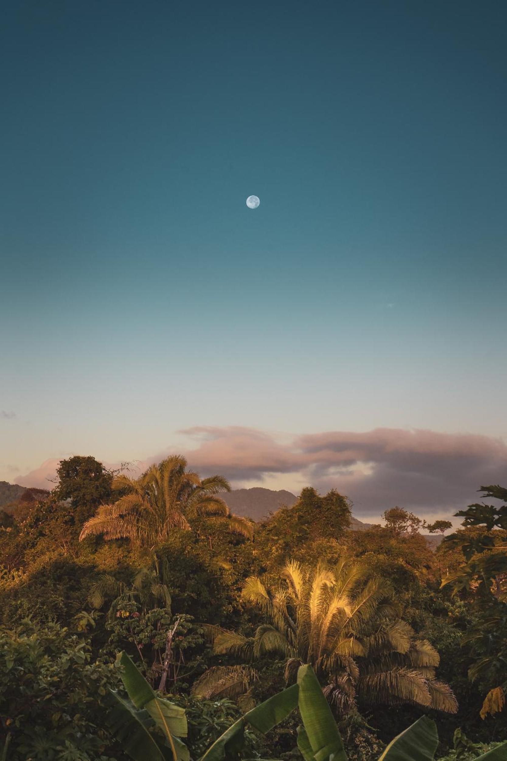 La Casita del Bosque