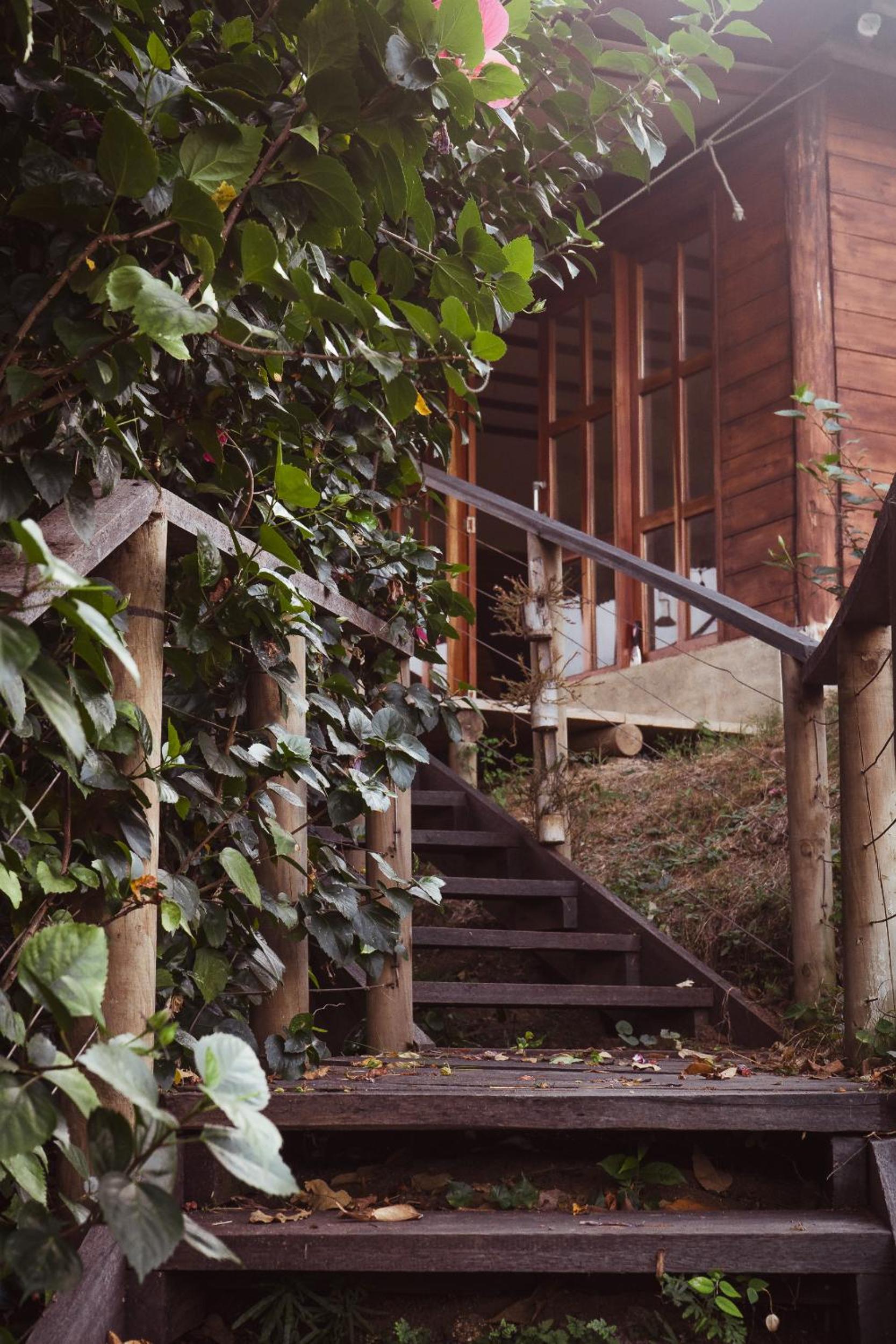 La Casita del Bosque