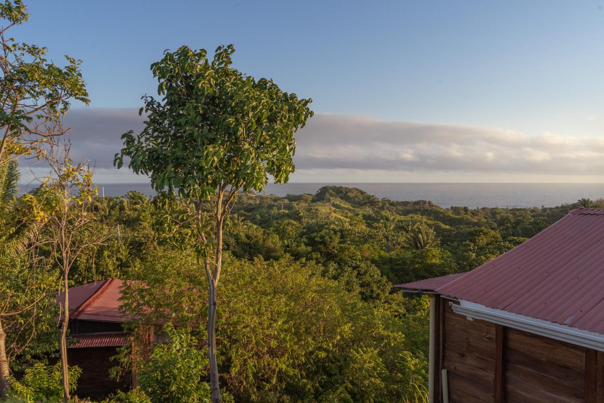 La Casita del Bosque
