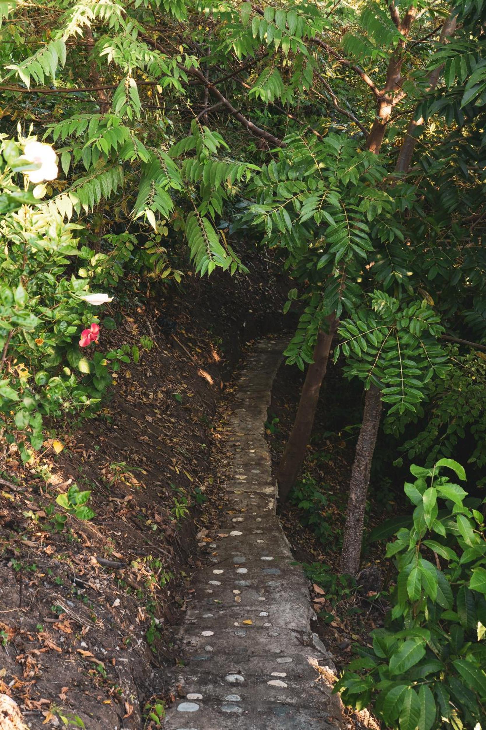 La Casita del Bosque