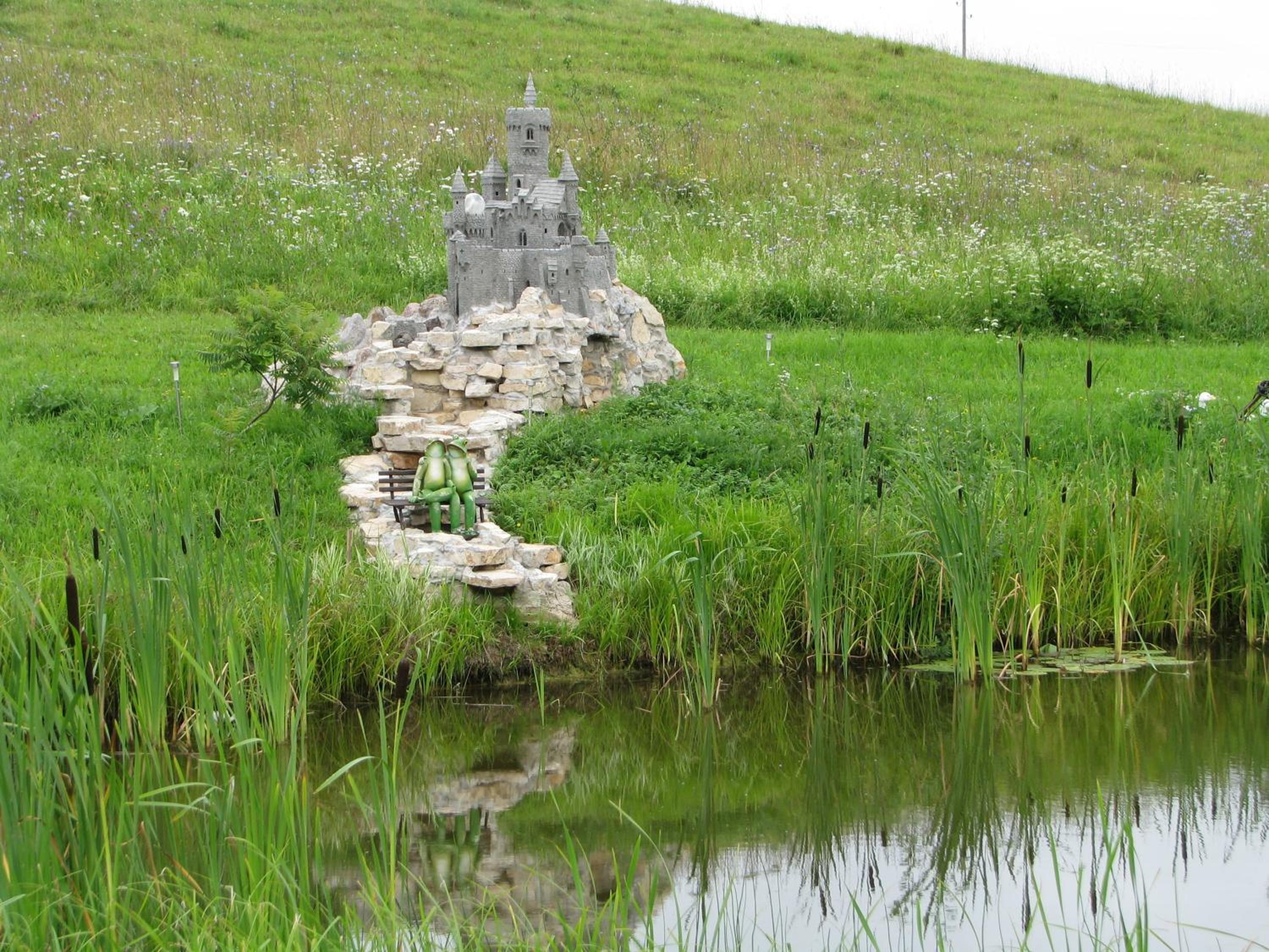 Photo 19