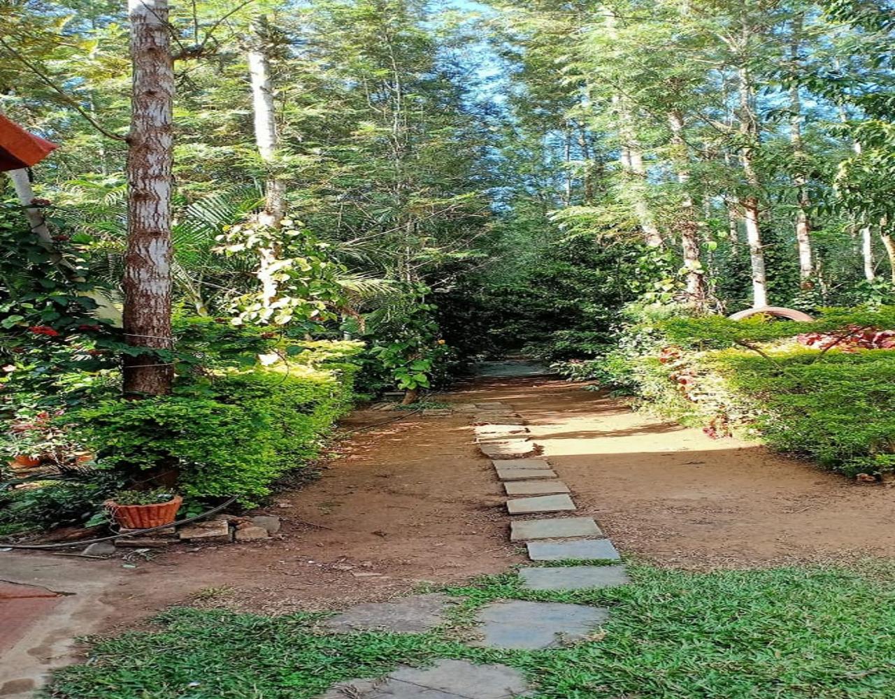 Coorg Royal Tree Homestay by StayApart view 3