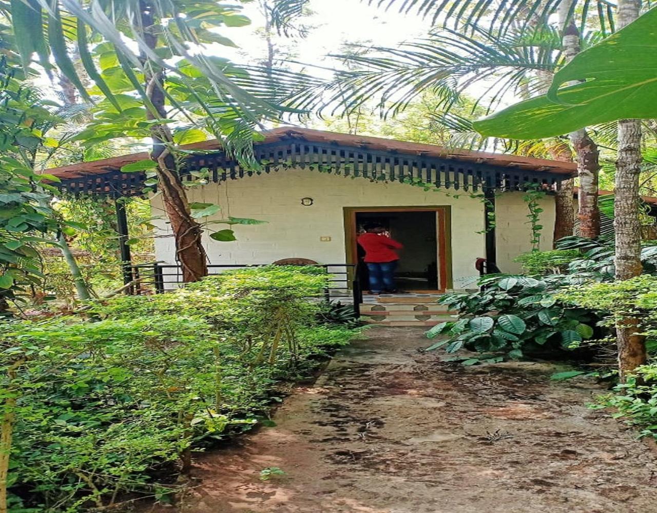 Coorg Royal Tree Homestay by StayApart view 5