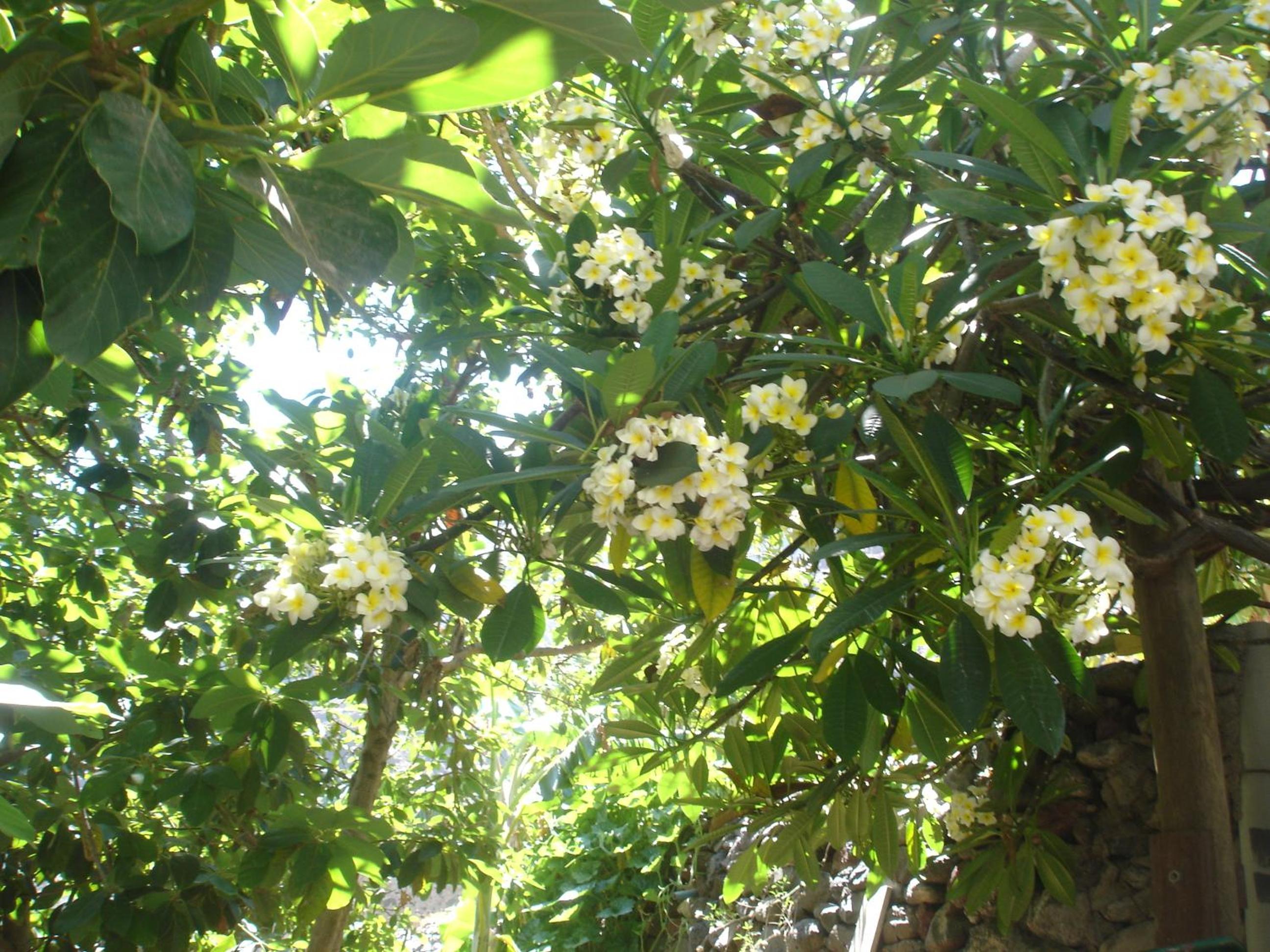 Photo 33