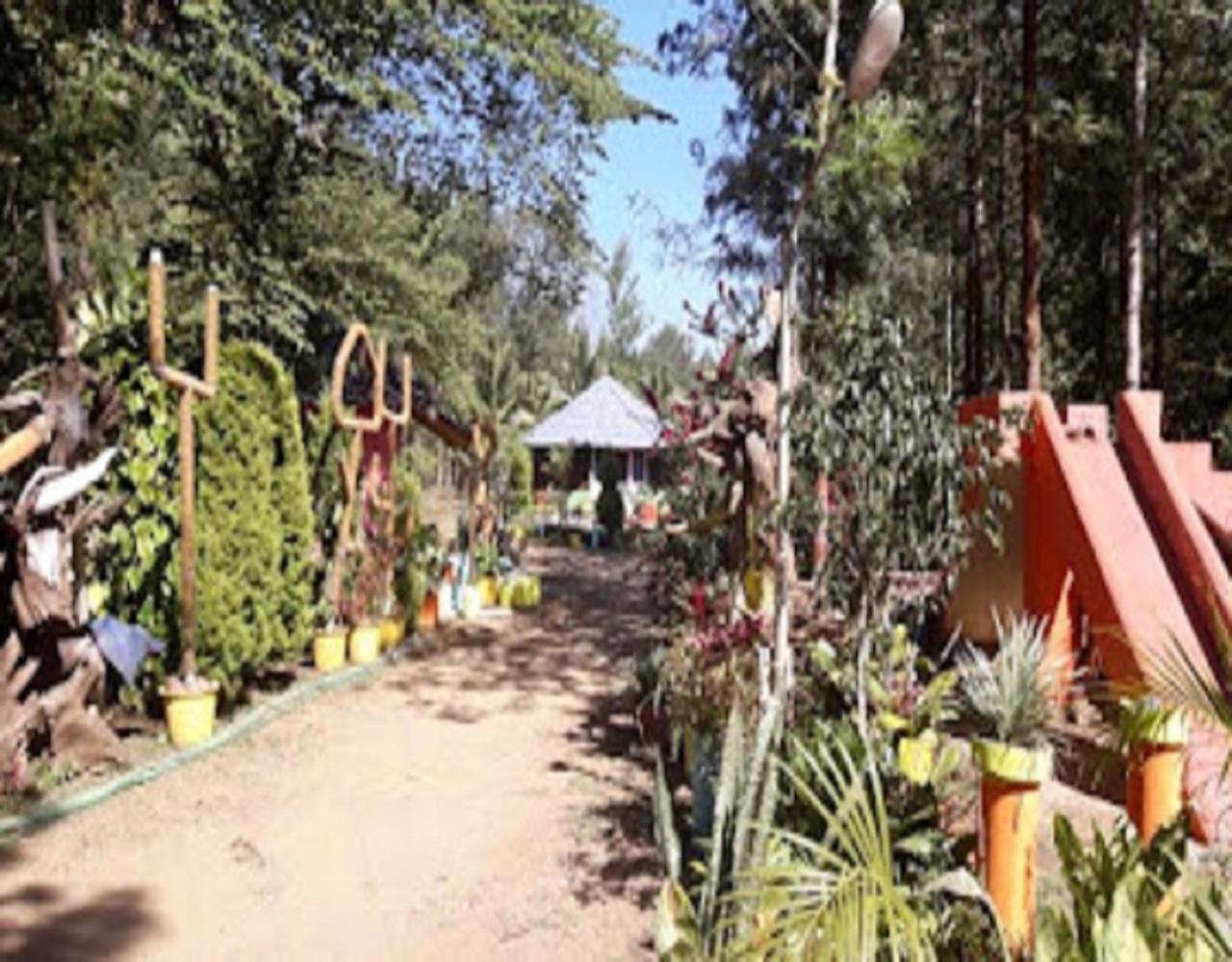 Rising Surya - Coorg Recreations by StayApart view 3