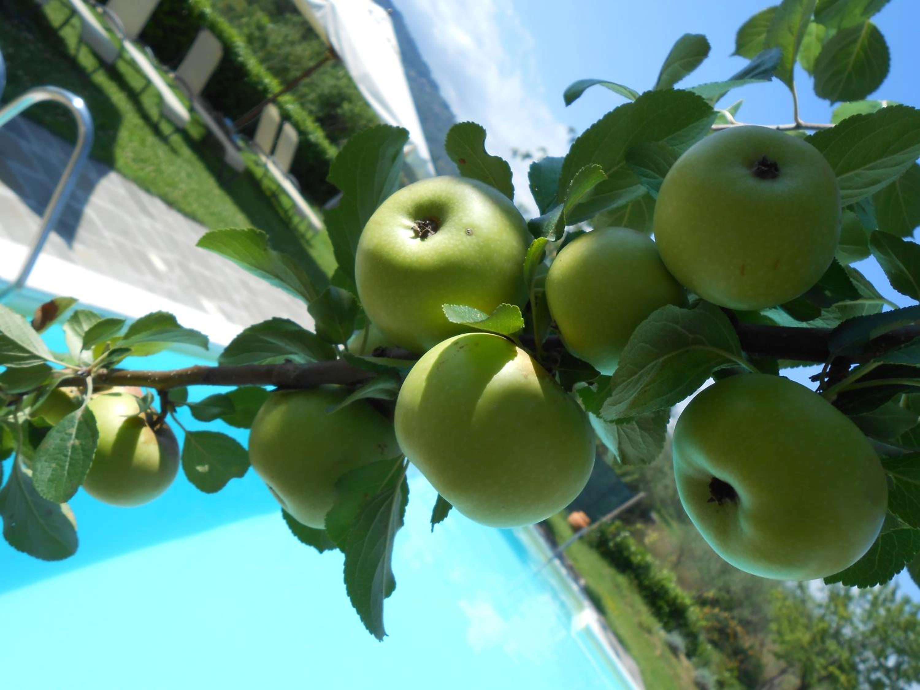 Amedea Tuscany Country Experience