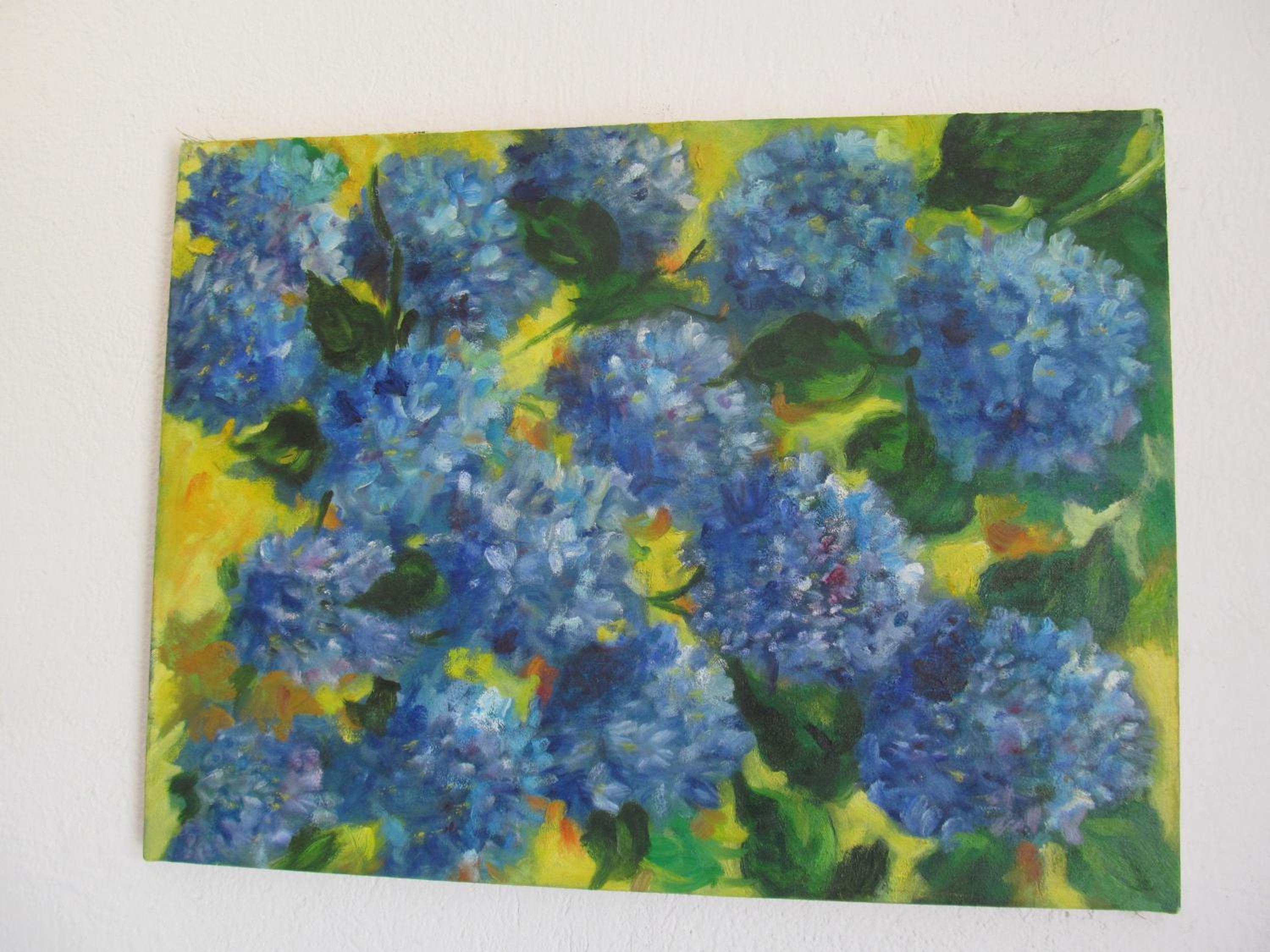 Casa Tara - Property Image 35