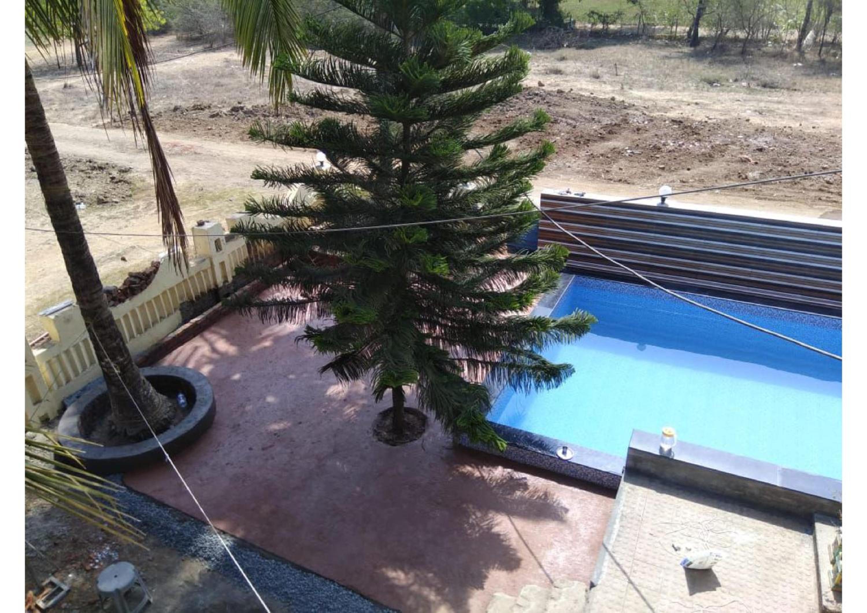 Photo 6