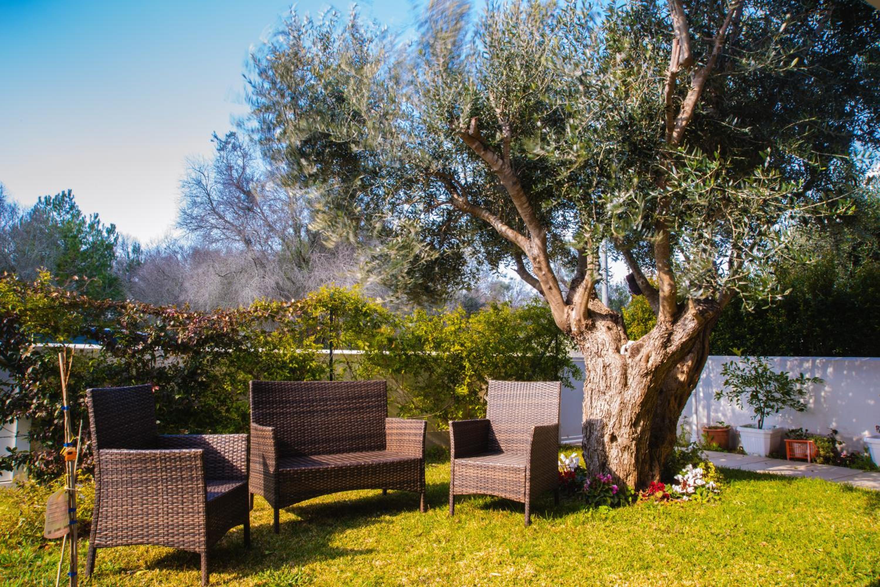 Villa Jacqueline a 300 mt dal mare - Torre Specchia Ruggeri view 2
