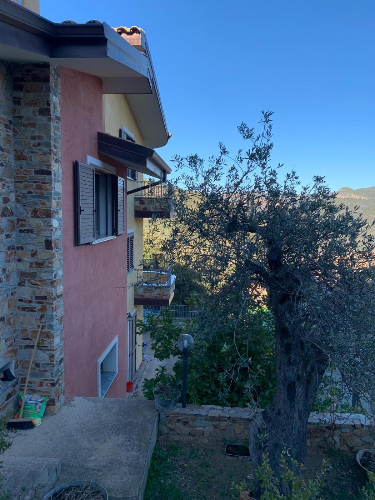 Il Vecchio Ulivo Sa Tanca view 4