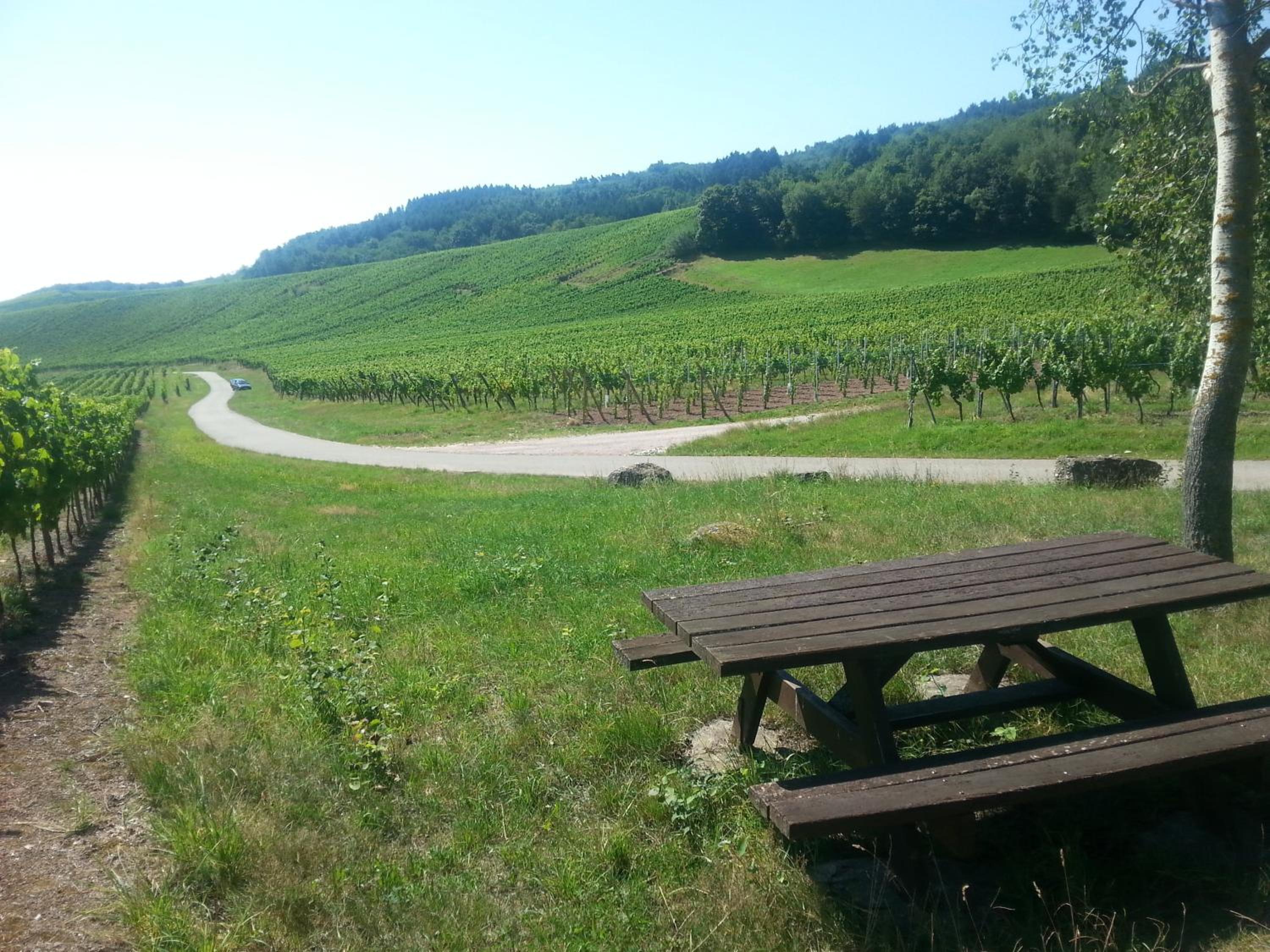 Photo 8