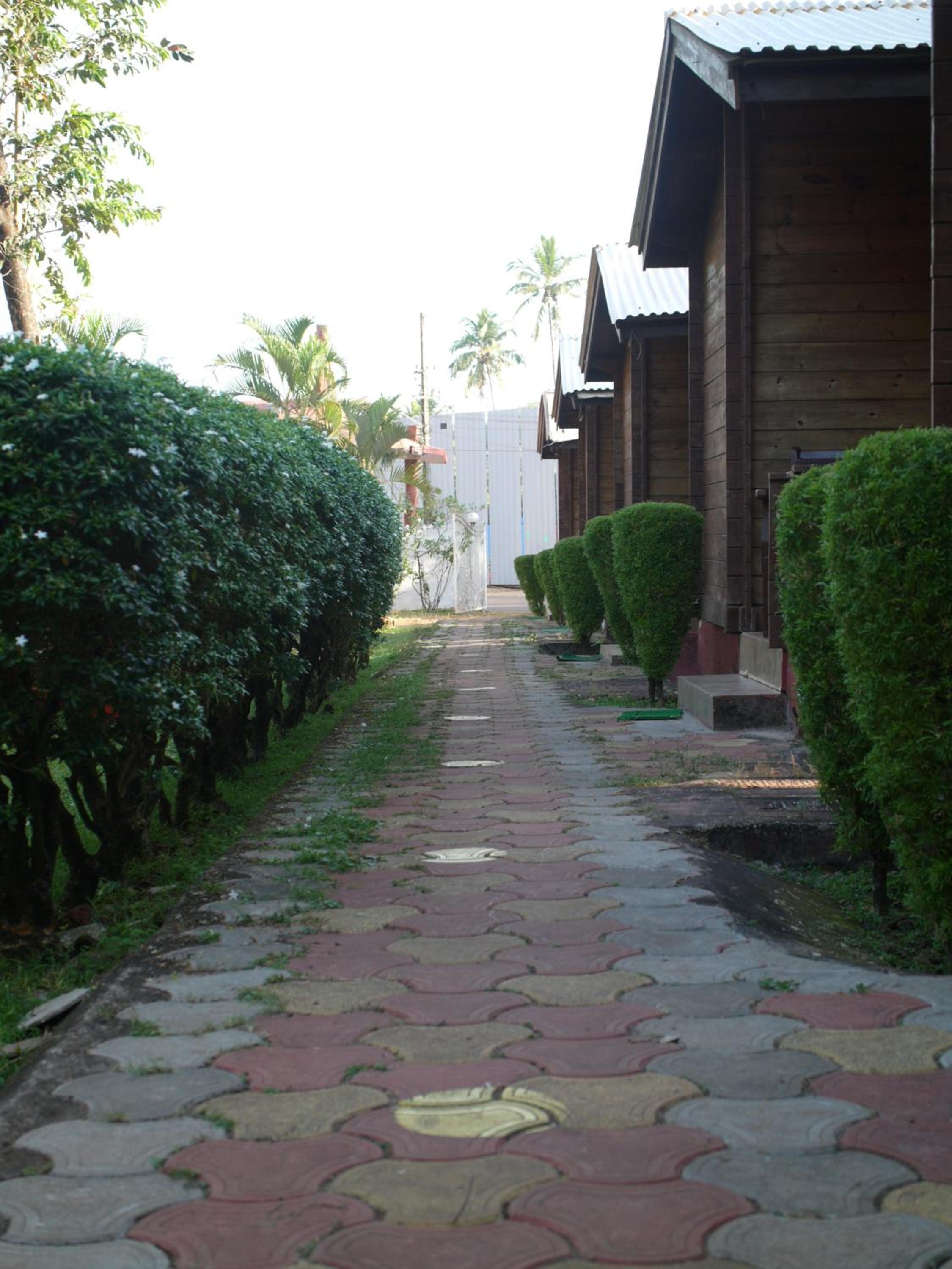 Photo 18