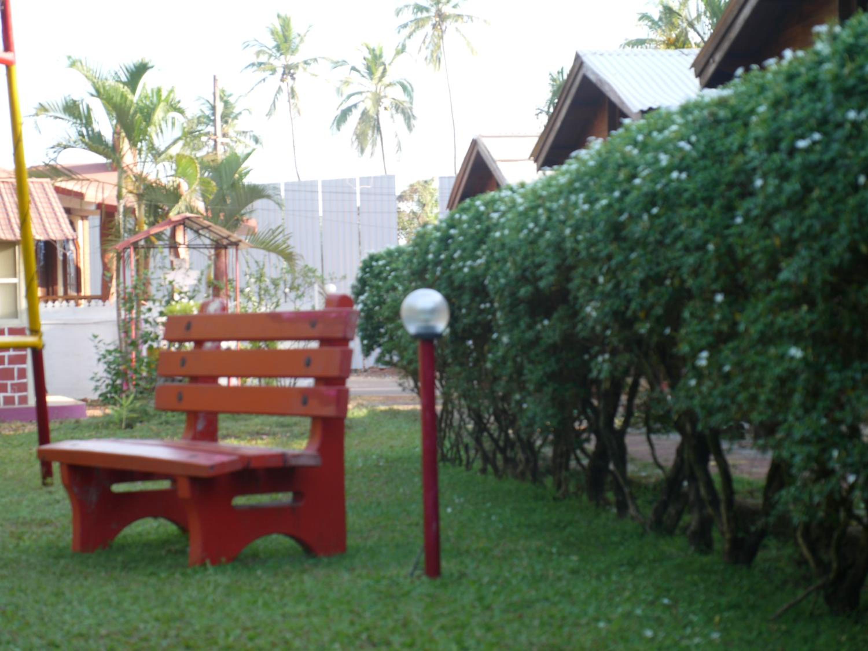 Photo 19