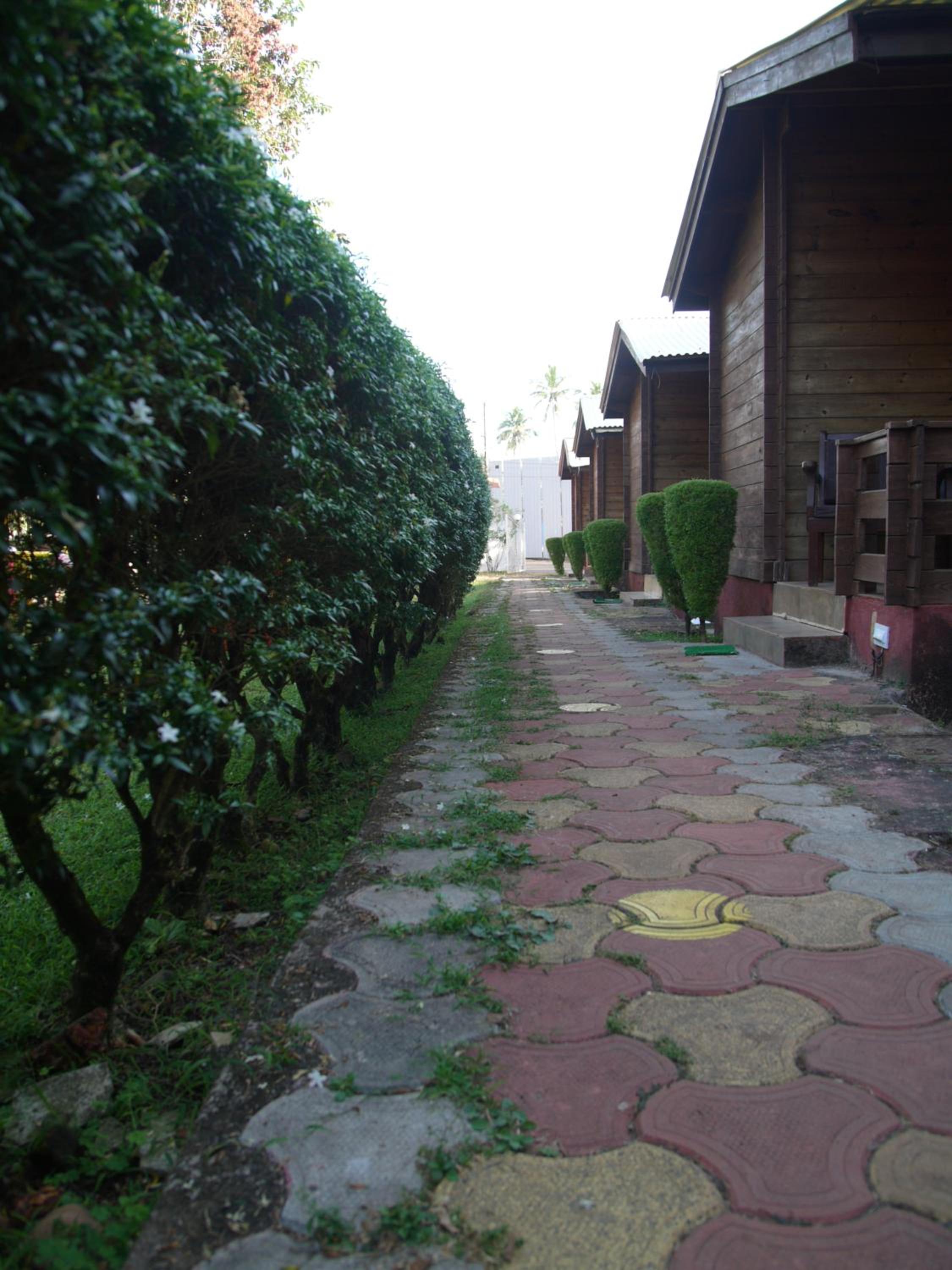 Photo 22