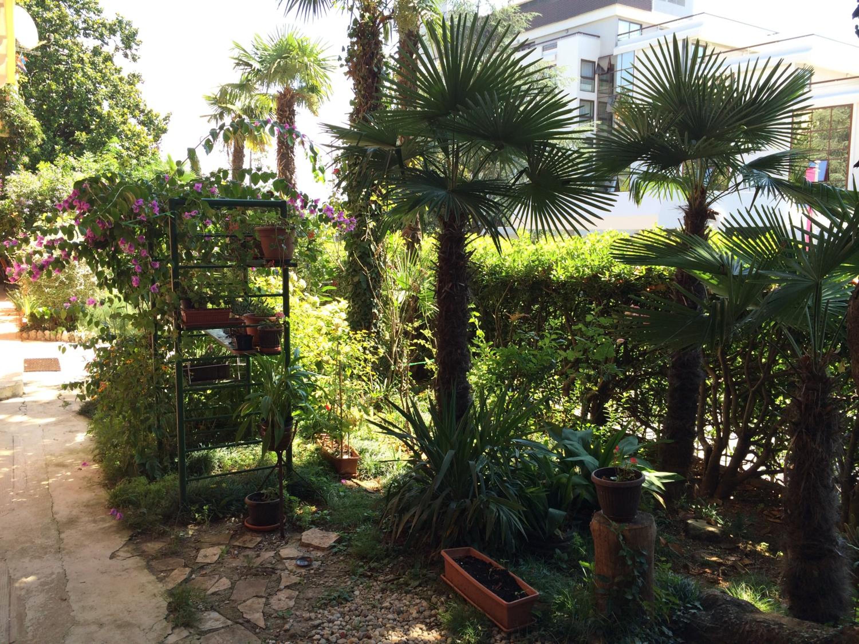 Bed & Breakfast Borka view 2