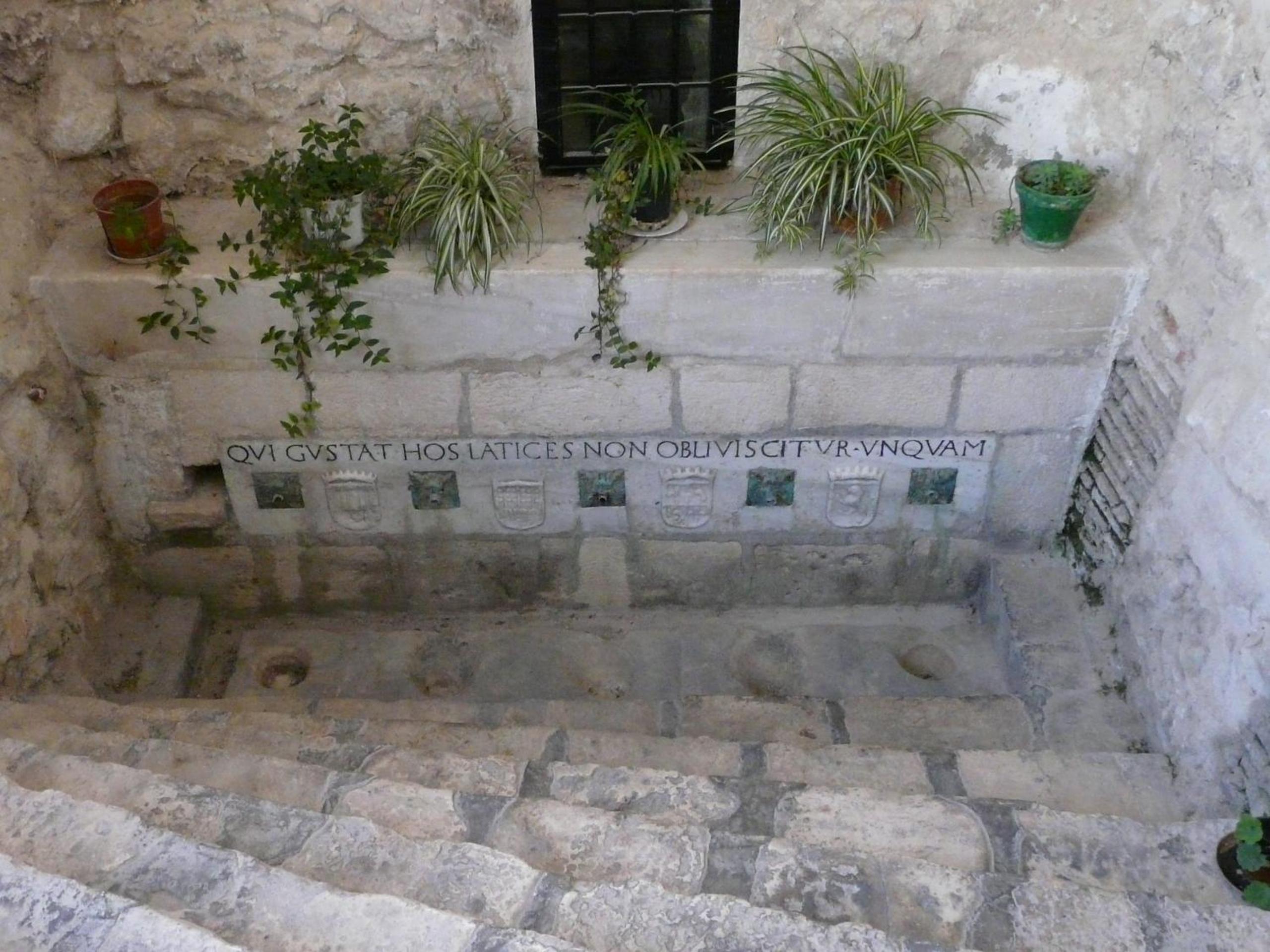 Photo 44