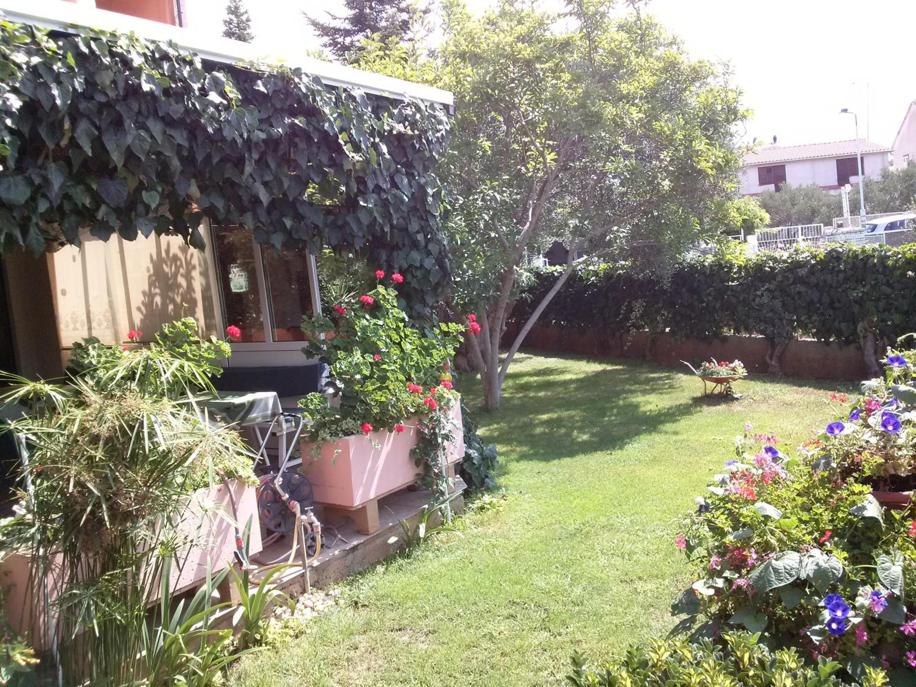 Photo 37