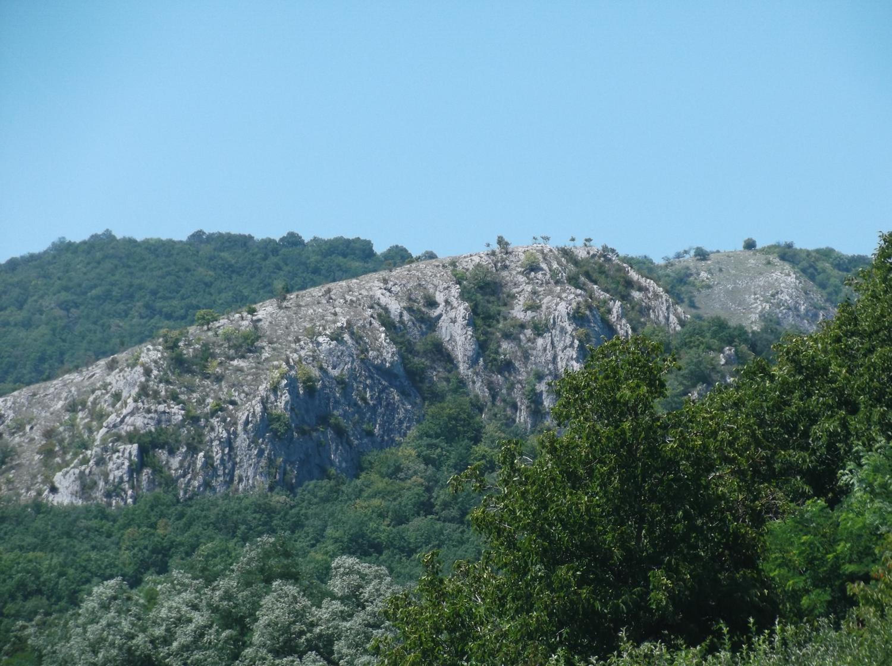 Photo 23