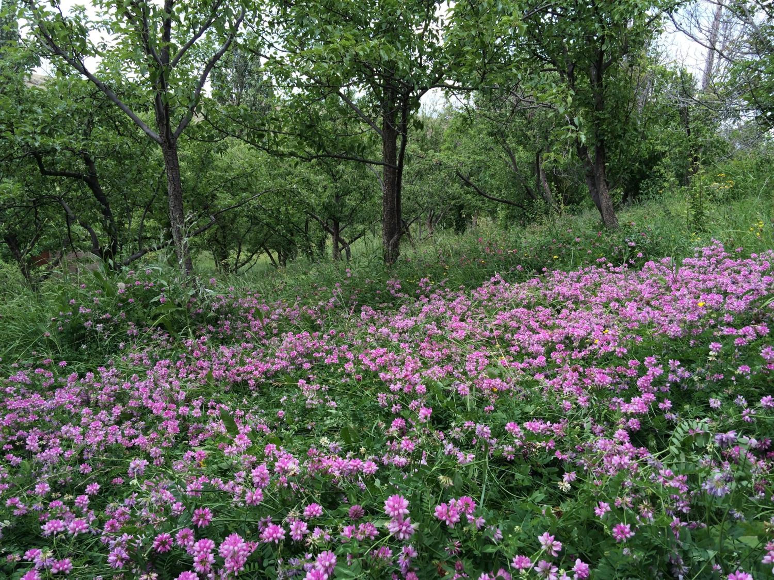 Azoyan Holiday Resort
