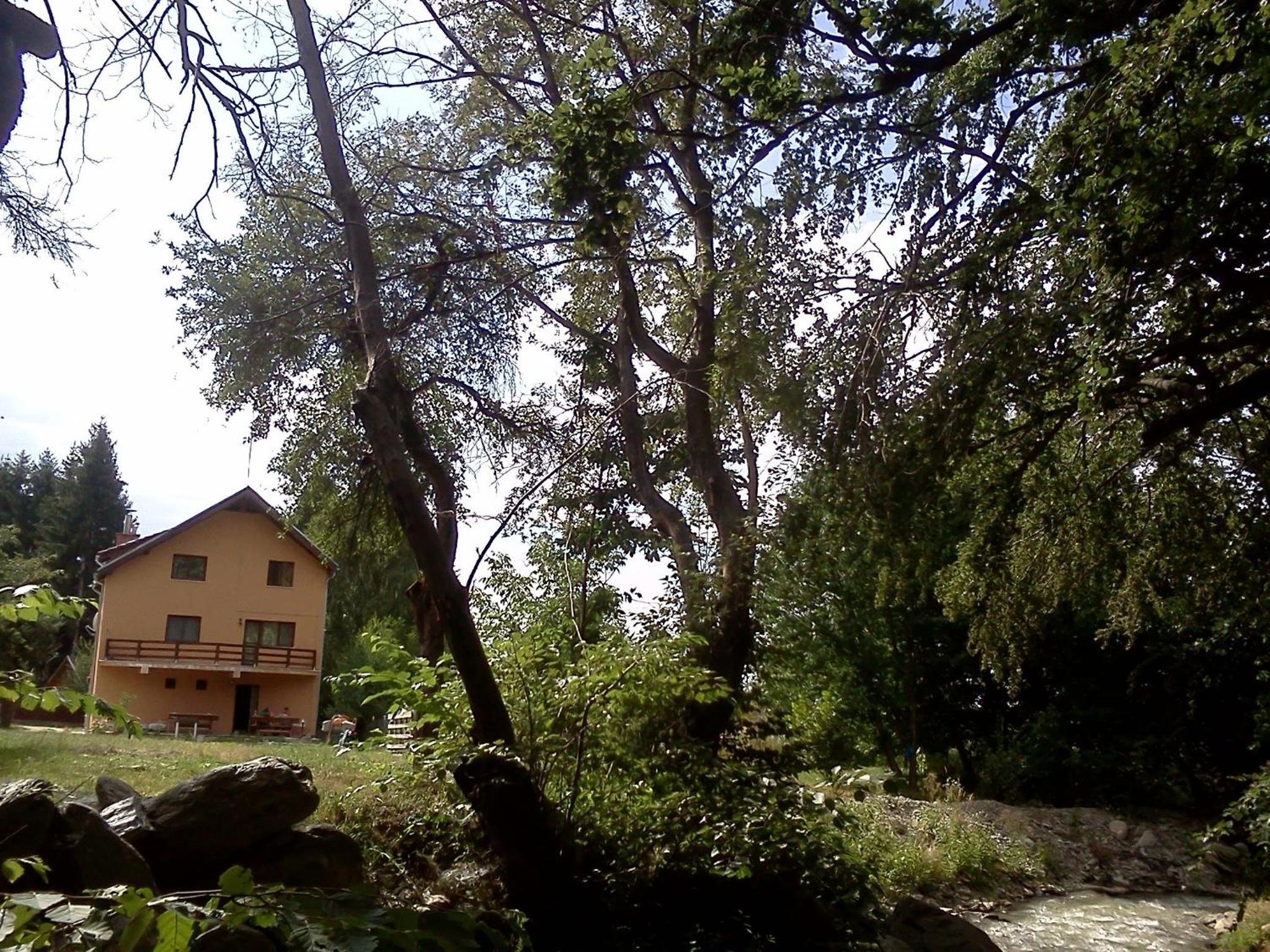 Photo 35