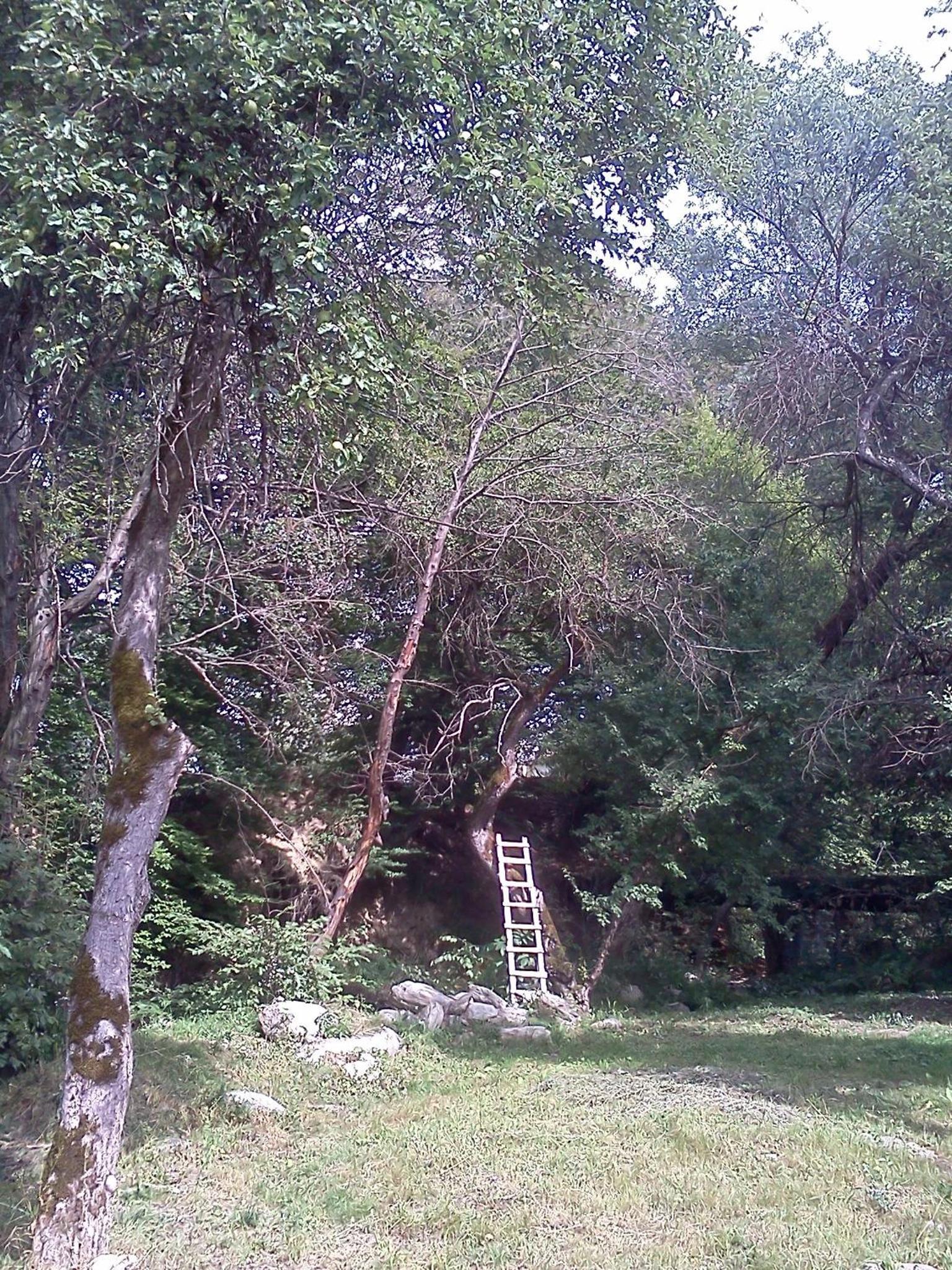 Photo 39