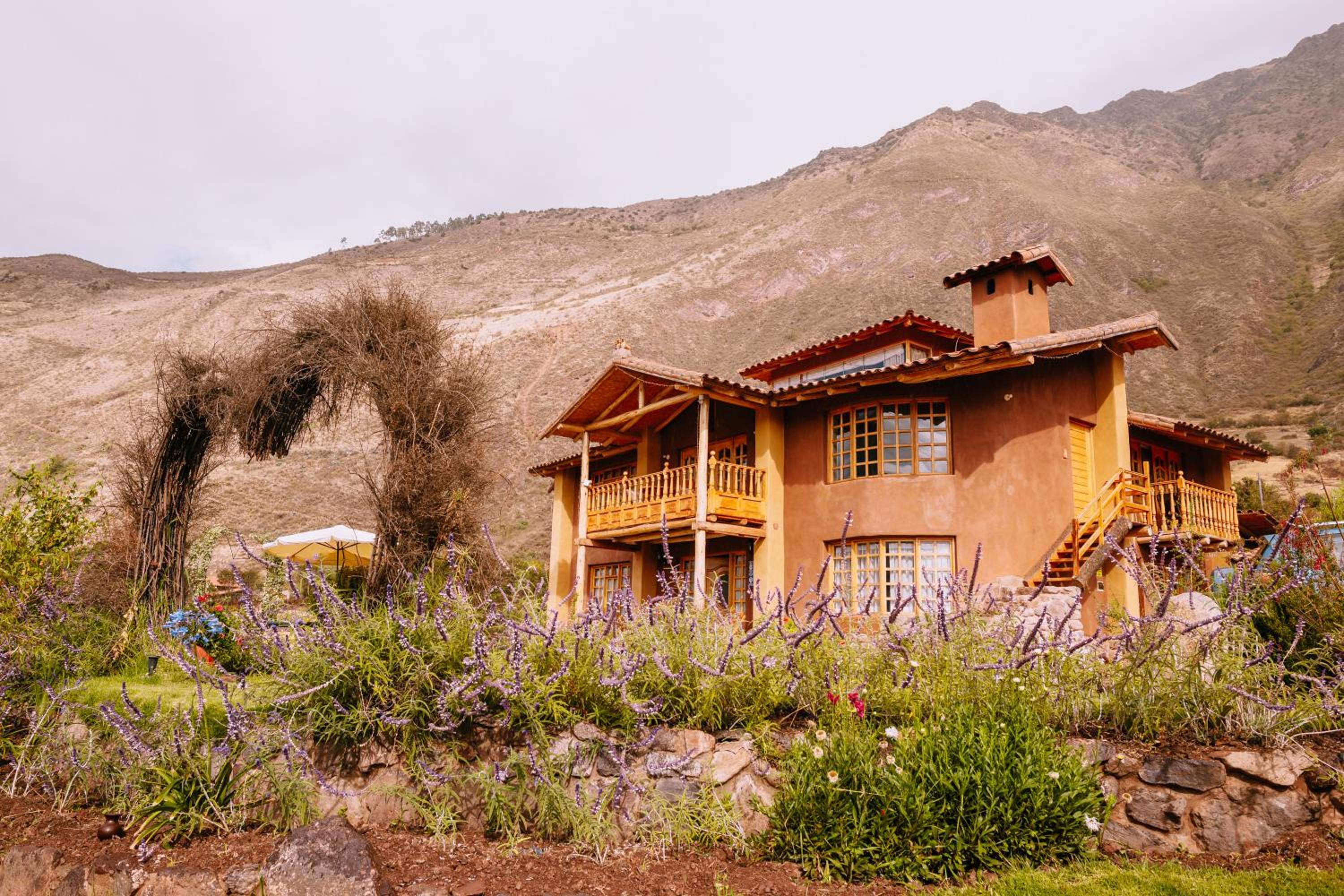 Photo 8