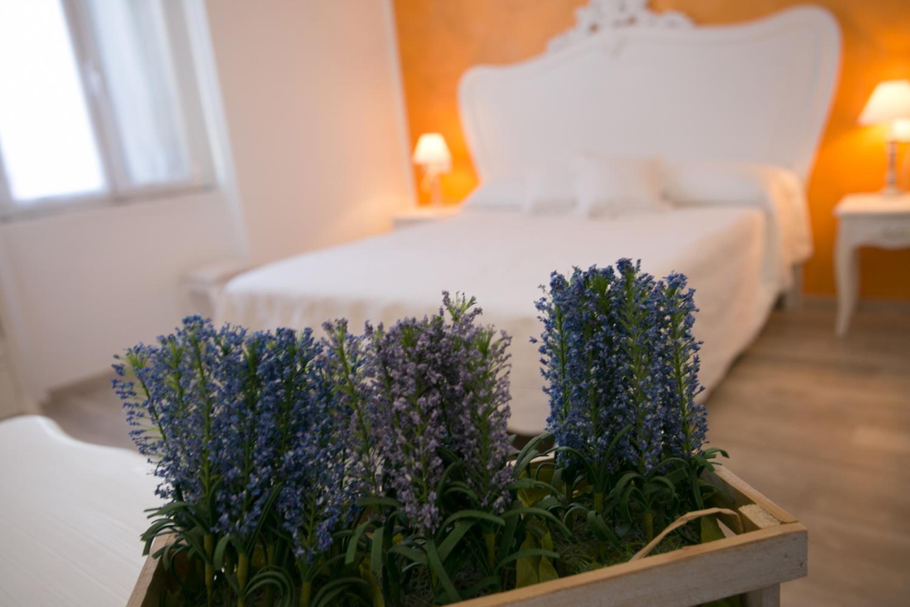 Colosseo Apartments and Rooms - Rome City Centre