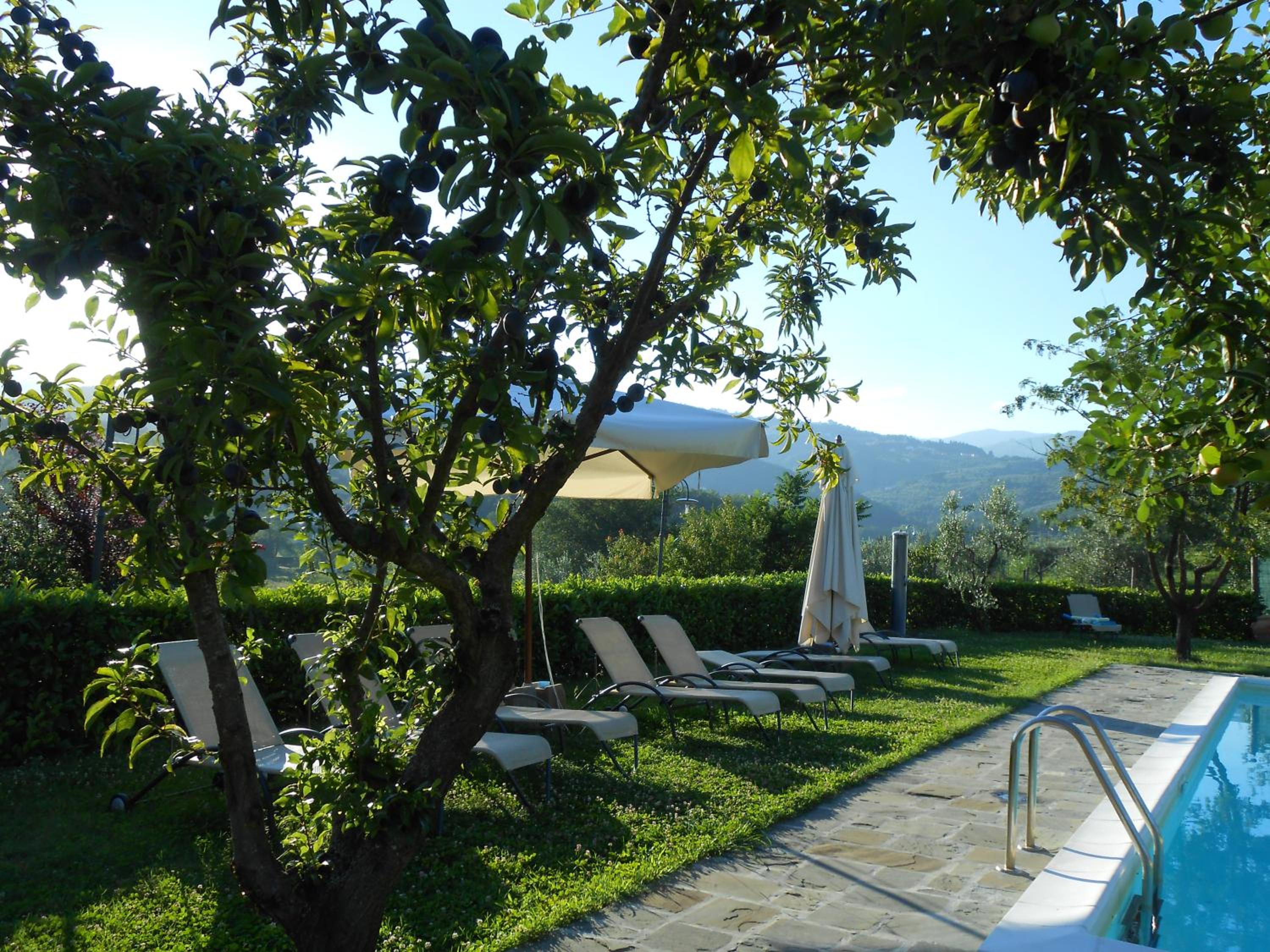 Amedea Tuscany Country Experience