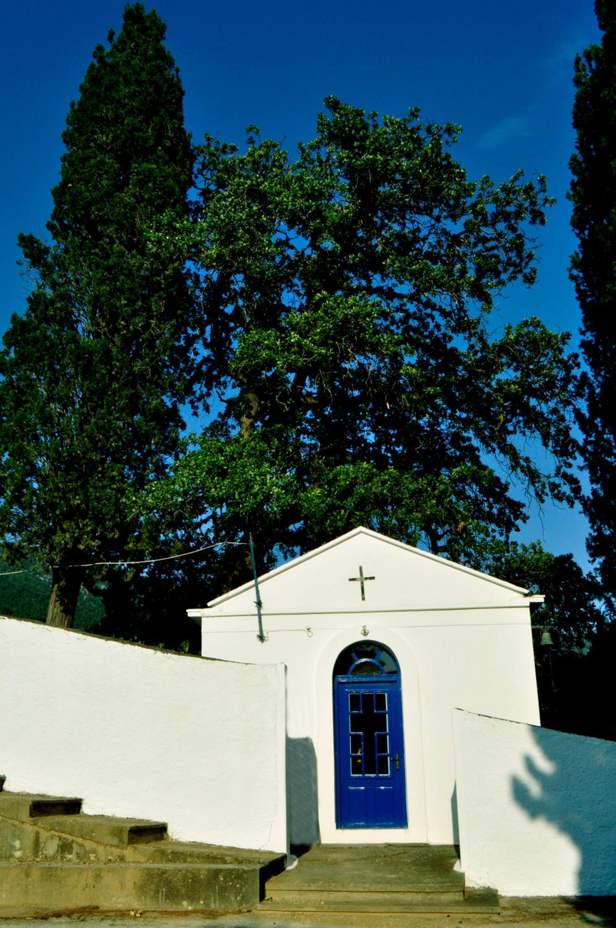 Photo 86