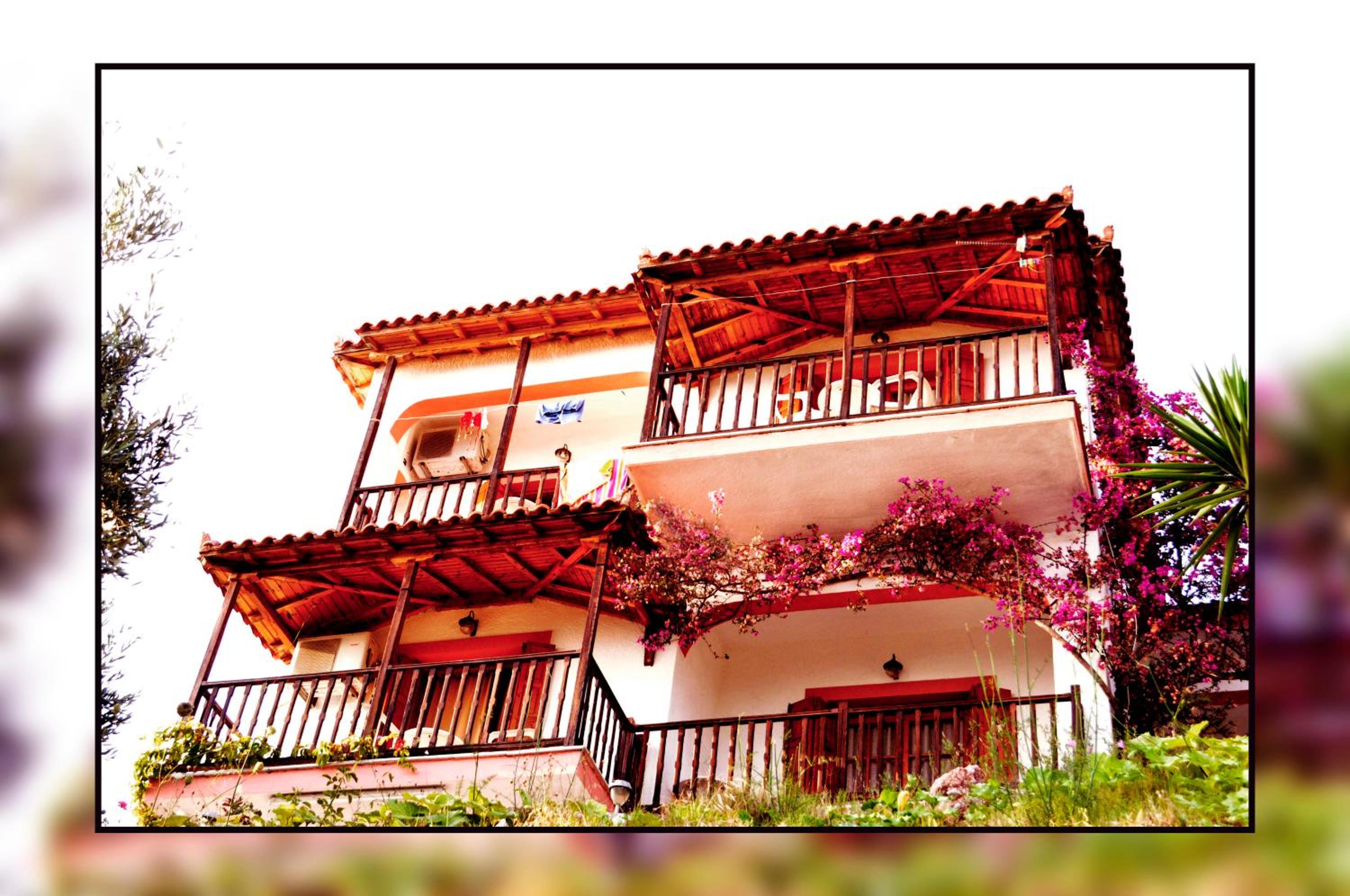 Photo 76