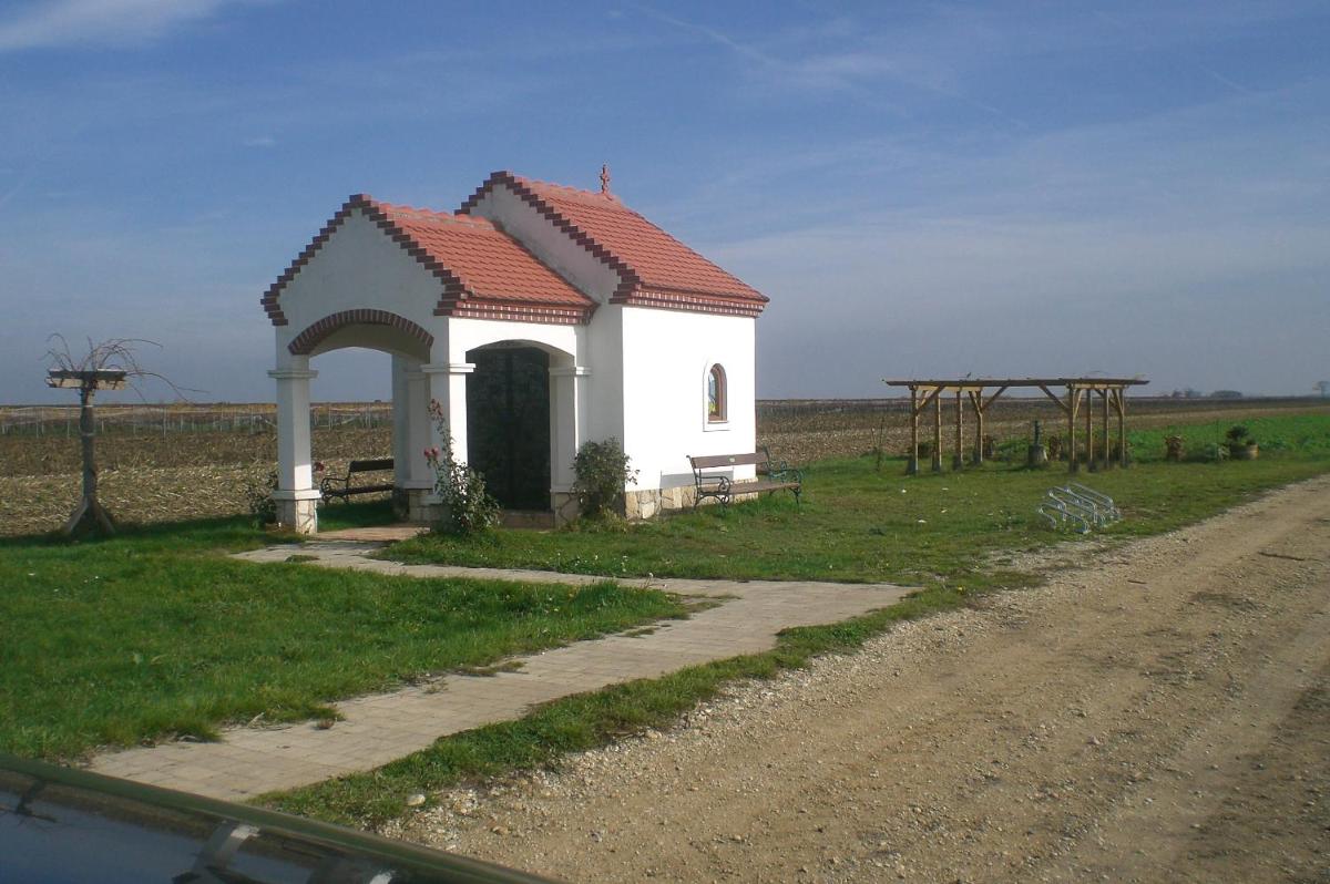 Photo 20